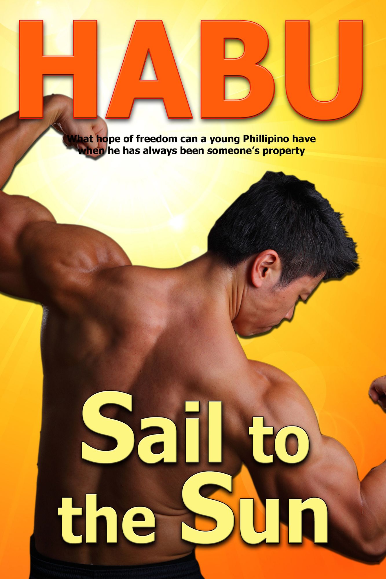 Sail to the Sun