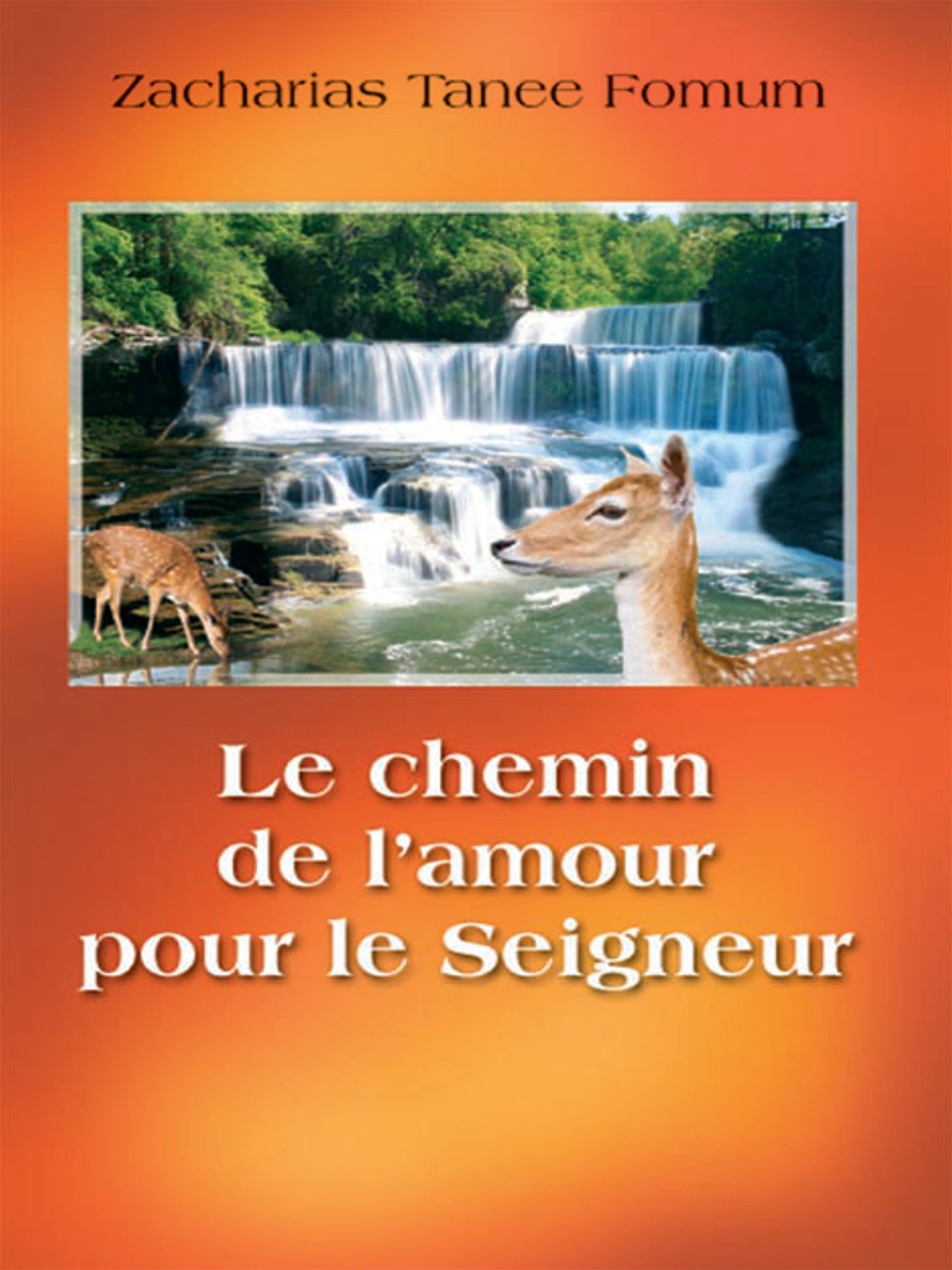 Le Chemin De L'amour Pour Le Seigneur (la Romance Spirituelle)
