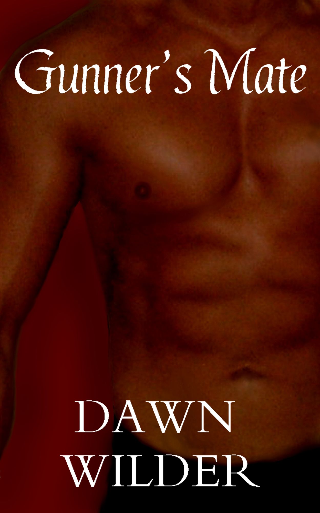 Gunner's Mate (Gay Erotic Romance Short)
