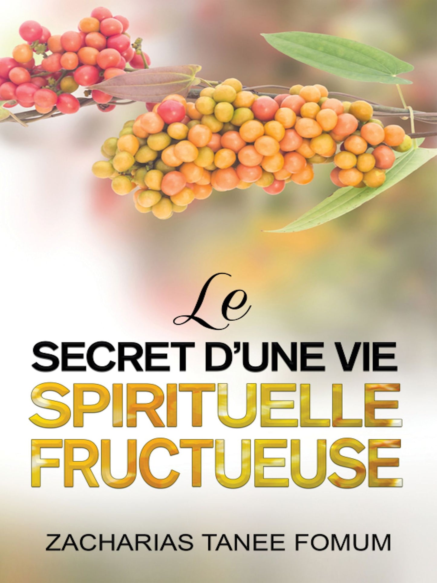 Le Secret D'une Vie Spirituelle Fructueuse