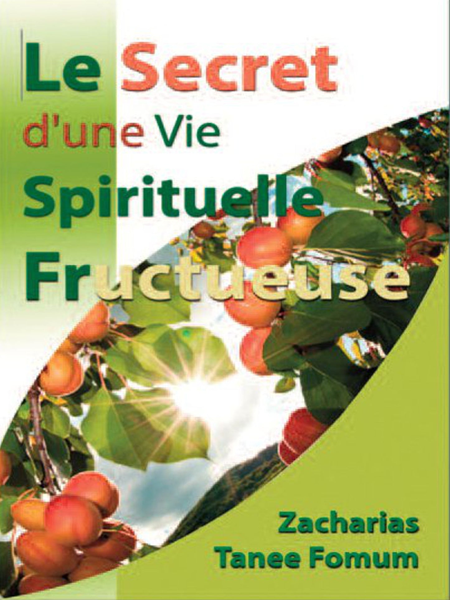 Le Secret D'une Vie Spirituelle Fructueuse