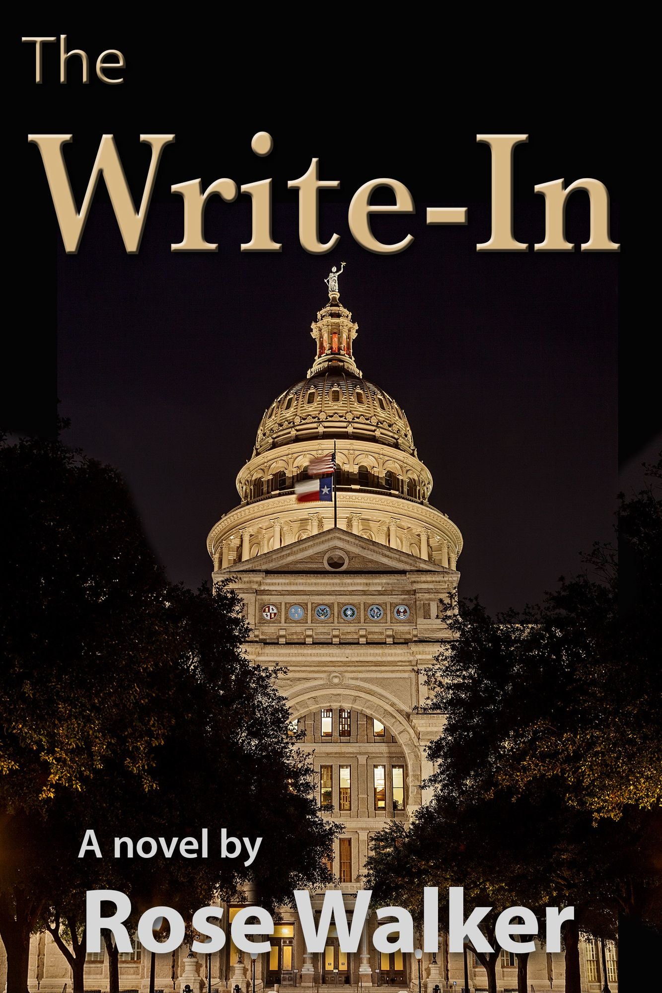 The Write-In