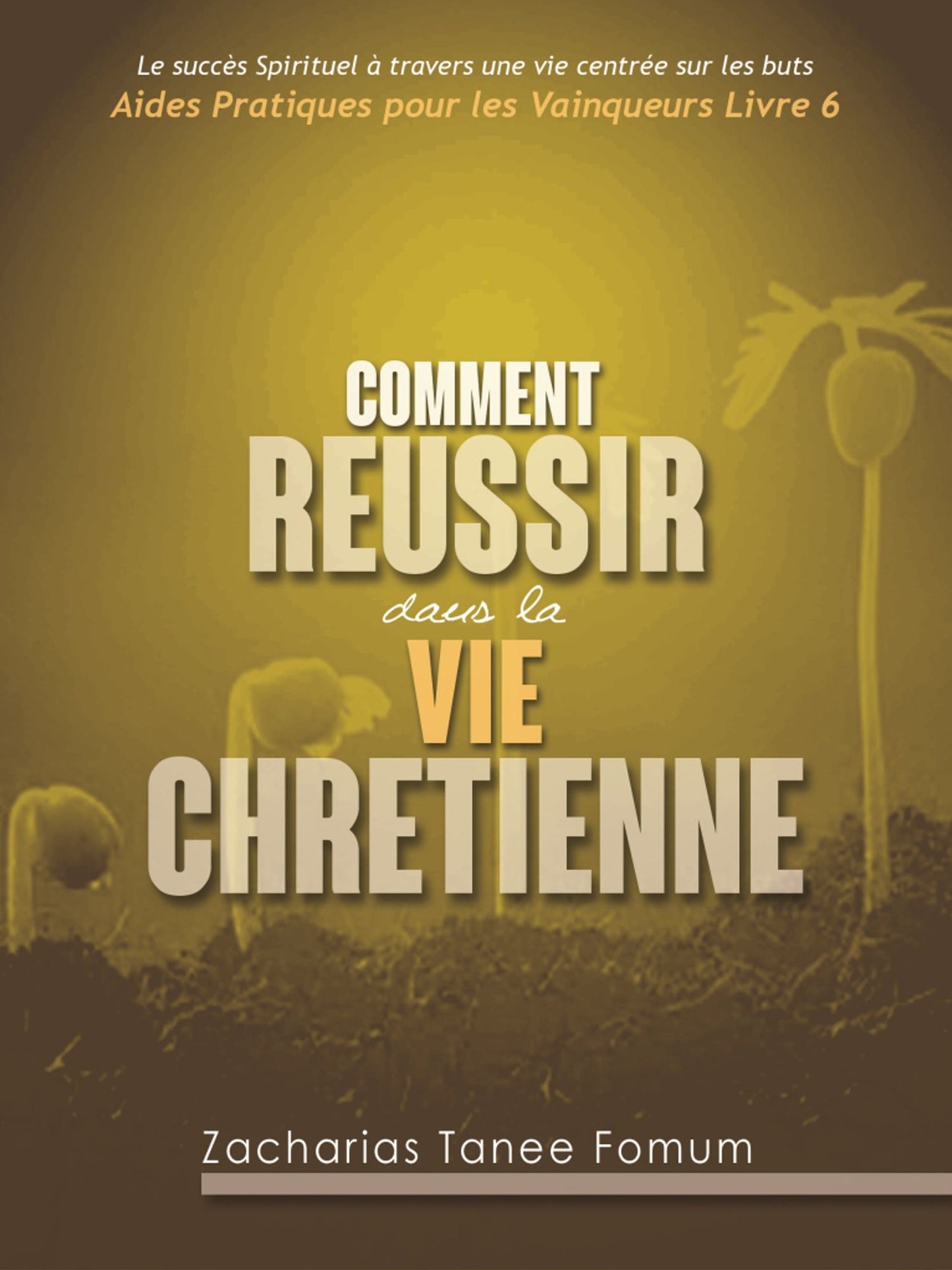 Comment Reussir Dans La Vie Chretienne