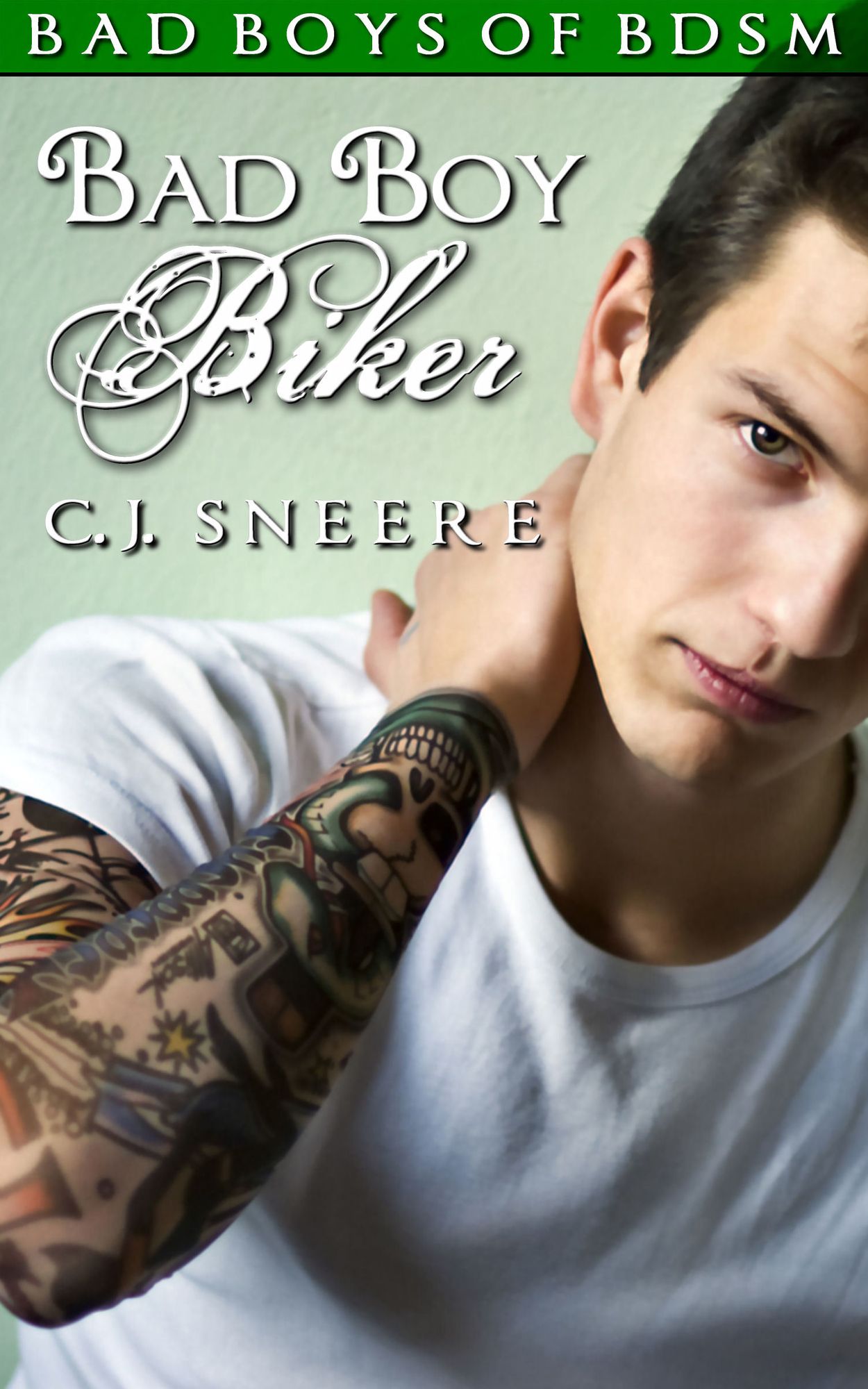 Bad Boy Biker: Bad Boys of BDSM Vol. 3