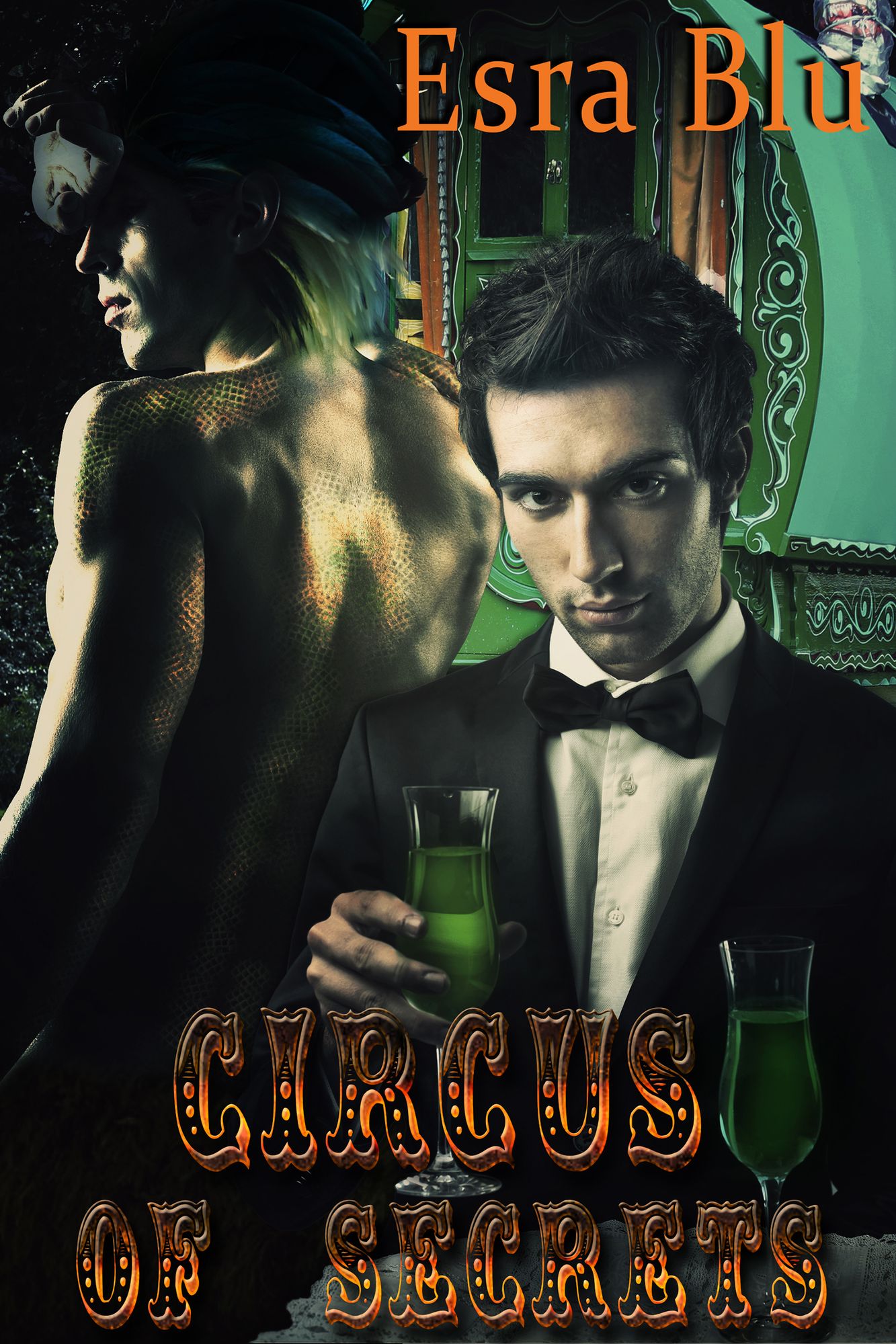 Circus of Secrets