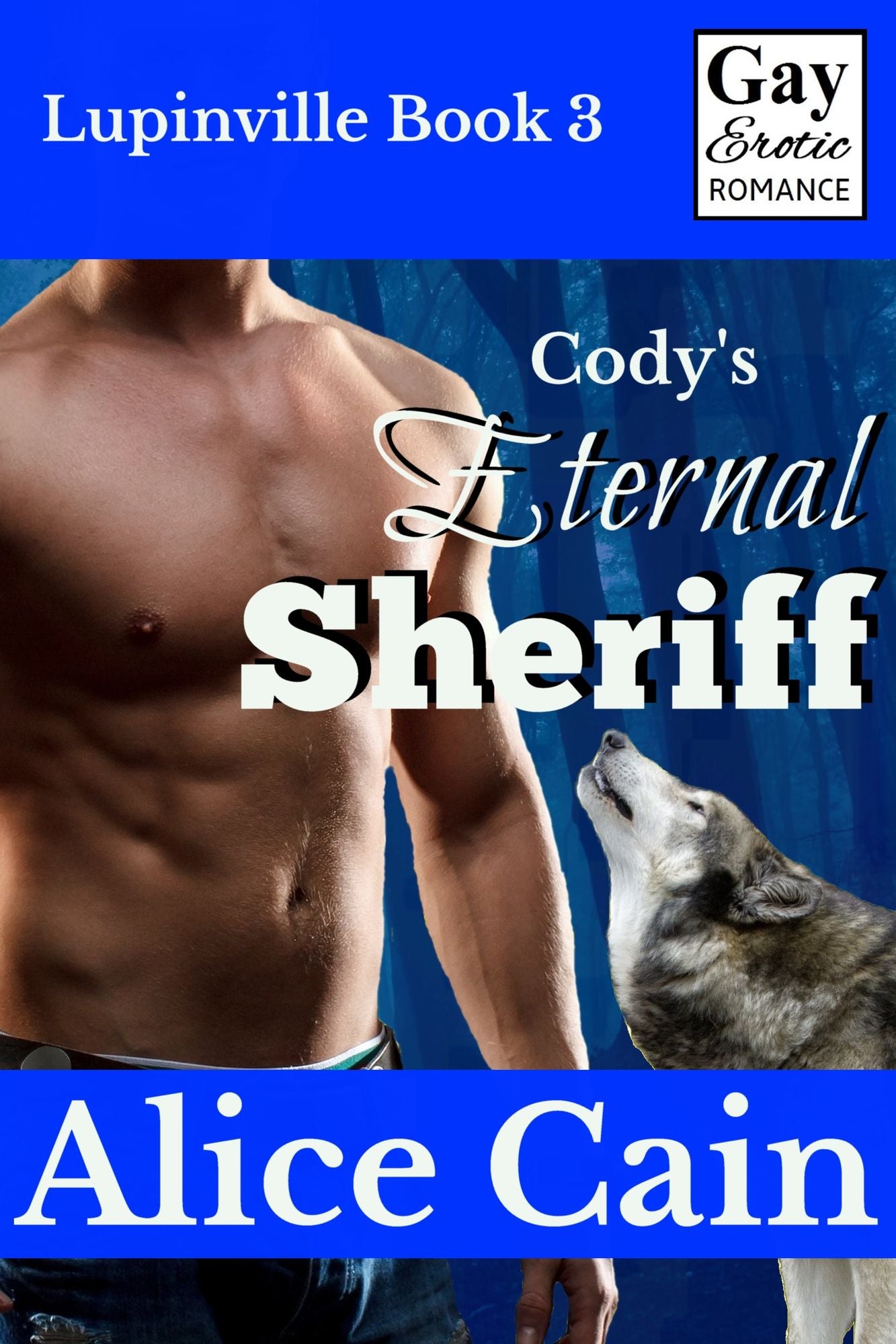 Cody's Eternal Sheriff [Gay erotic romance]