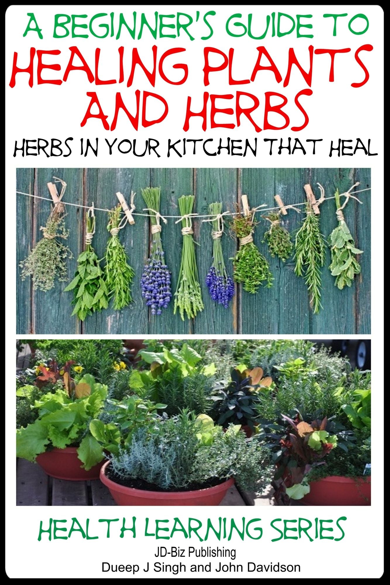 A Beginner's Guide to Healing Plants and Herbs: Herbs in Your Kitchen that Heal