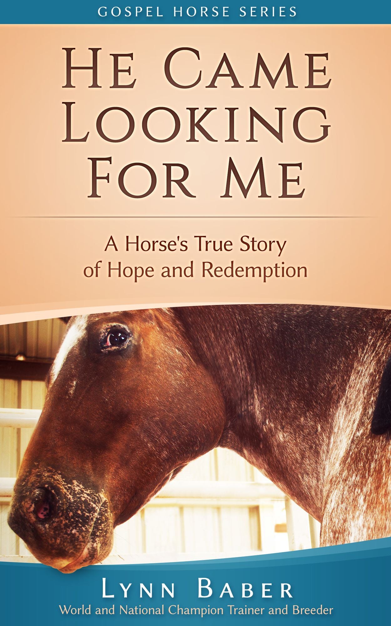 He Came Looking For Me: A true story of hope and redemption