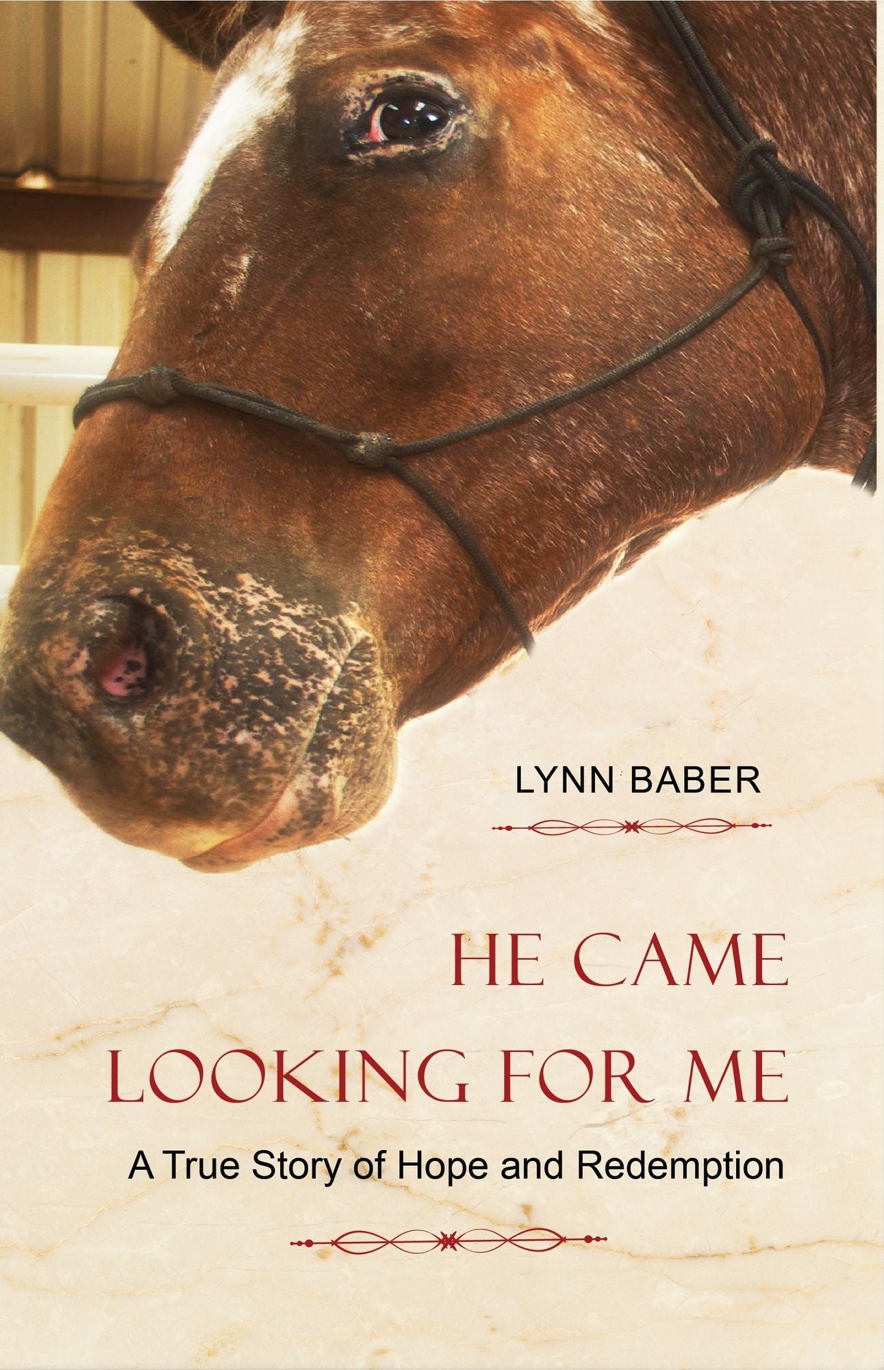 He Came Looking For Me: A true story of hope and redemption