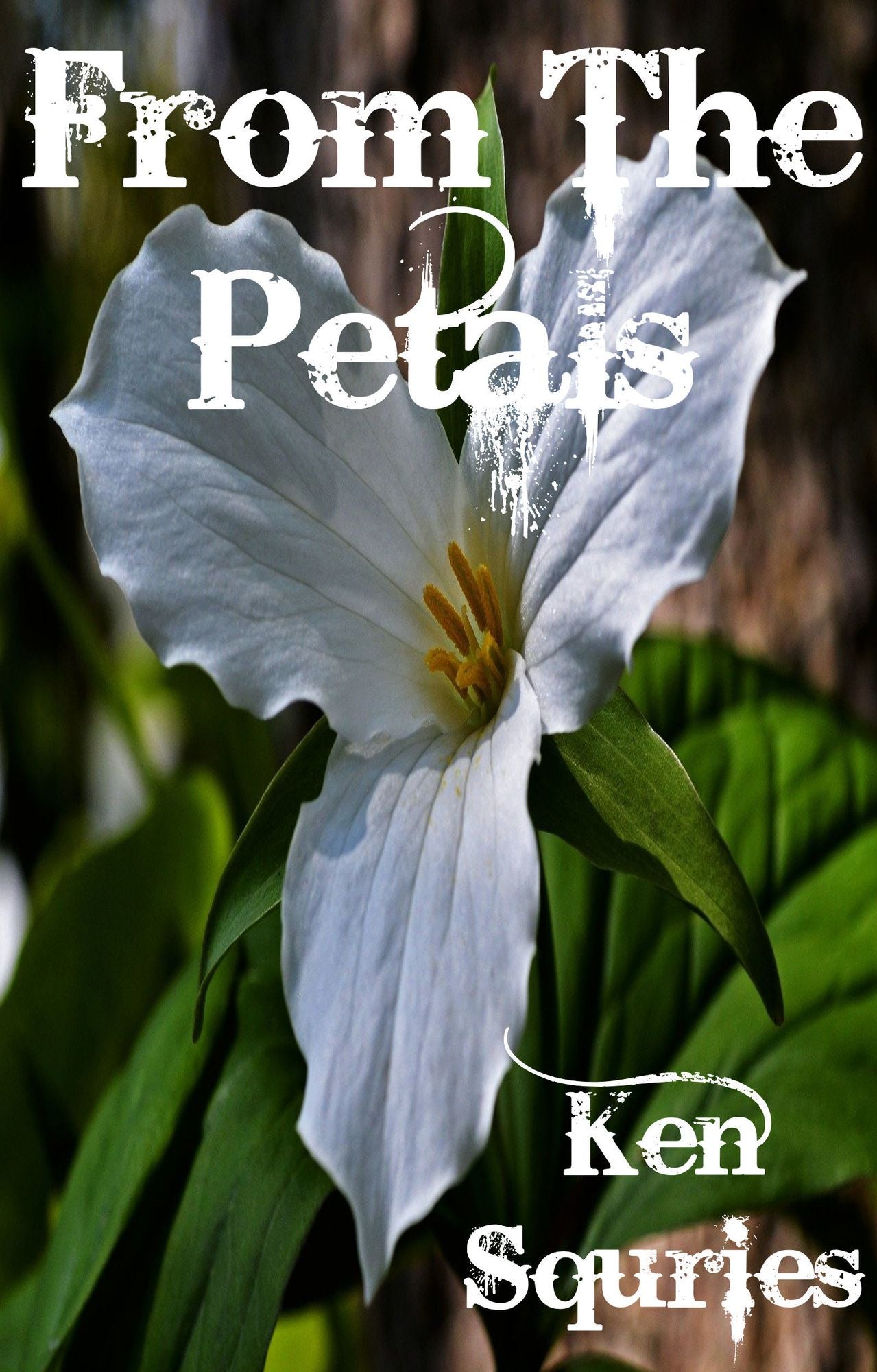 From The Petals