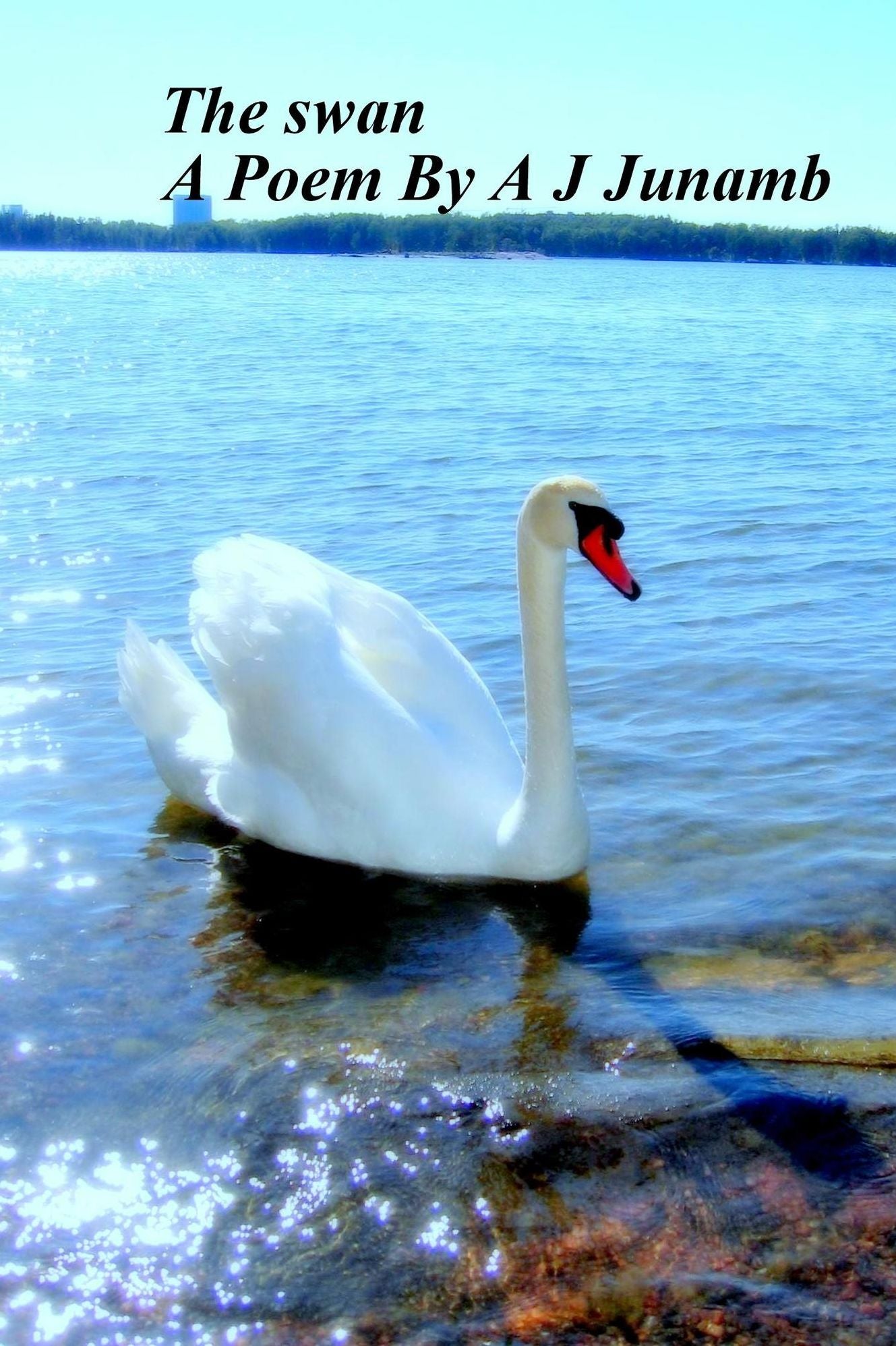Poem: The Swan