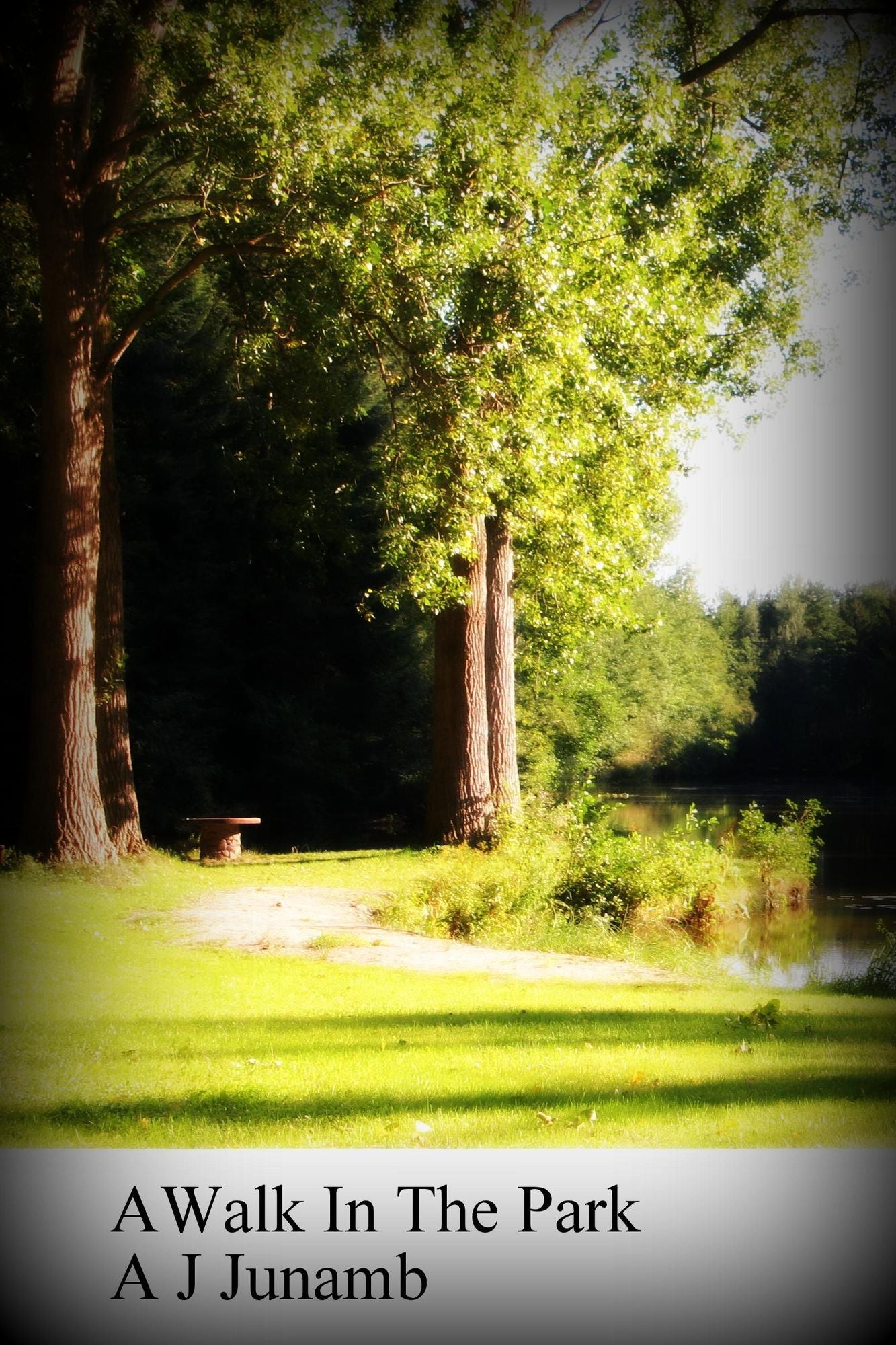 A Walk In The Park