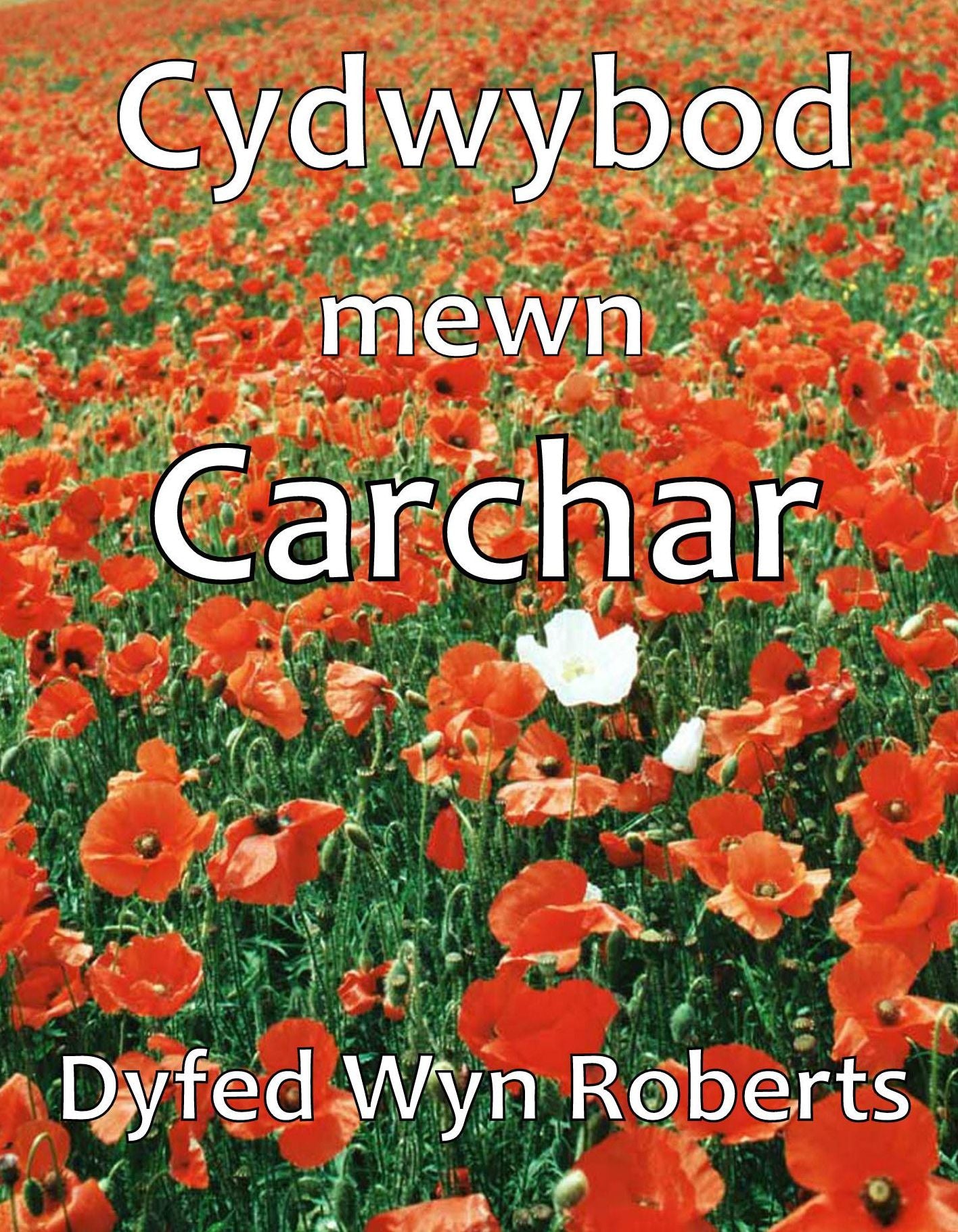 Cydwybod mewn Carchar