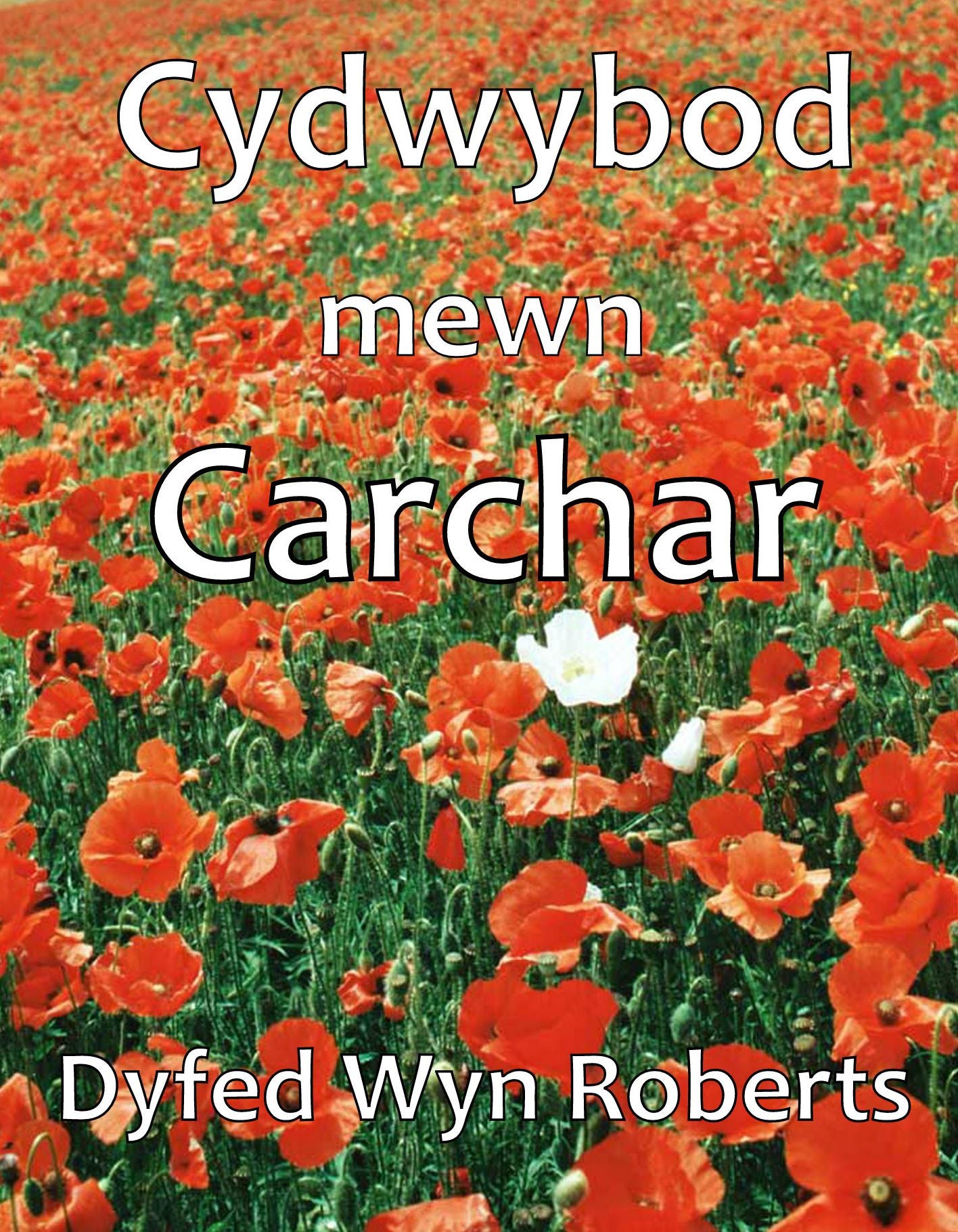 Cydwybod mewn Carchar