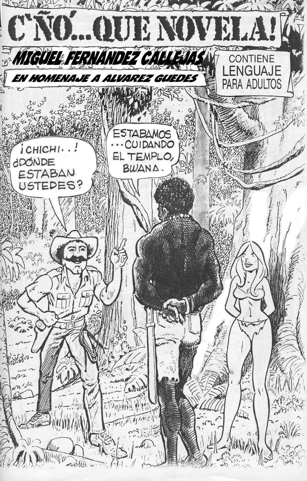 Cño que Novela!