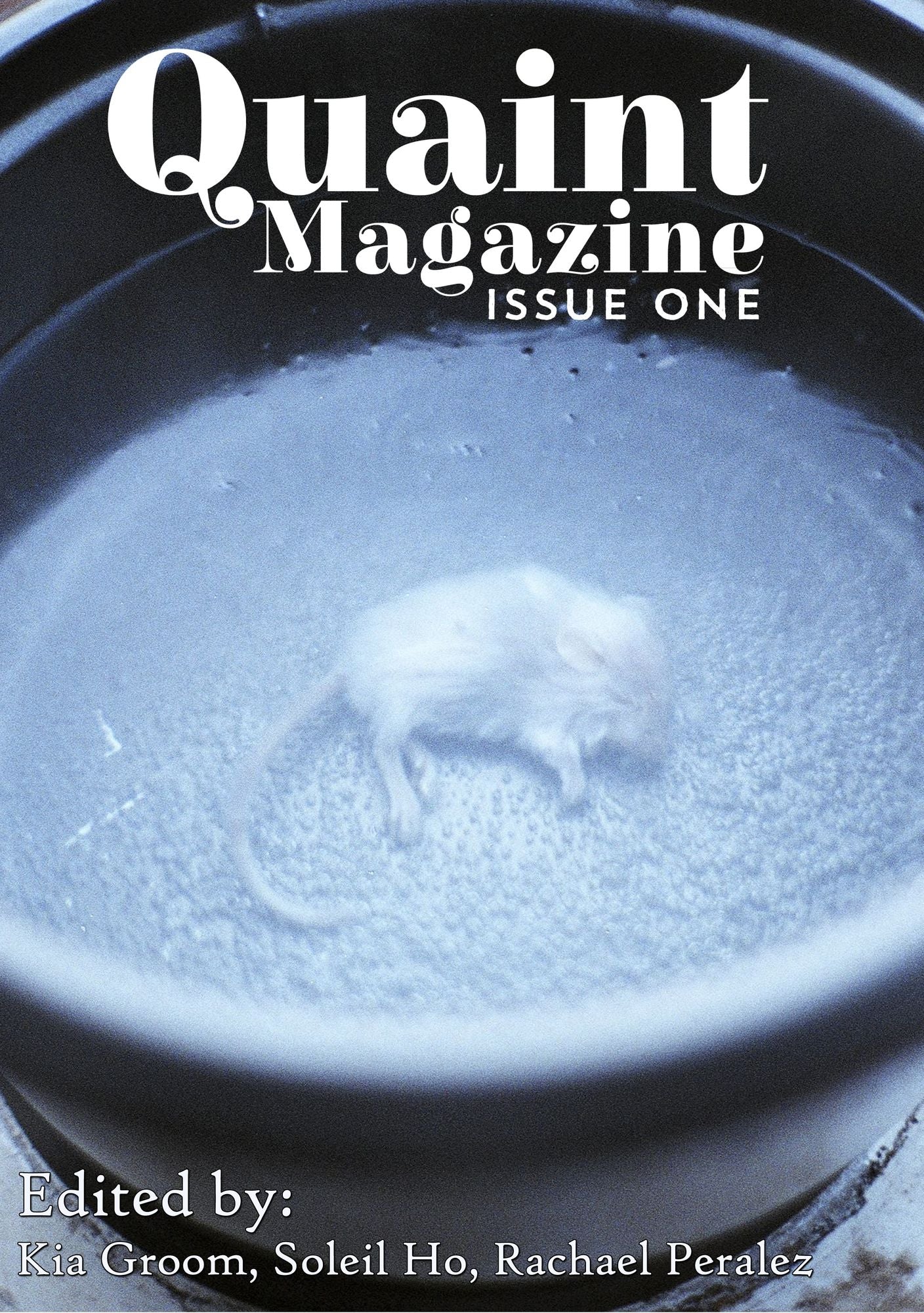 Quaint Magazine Issue 1