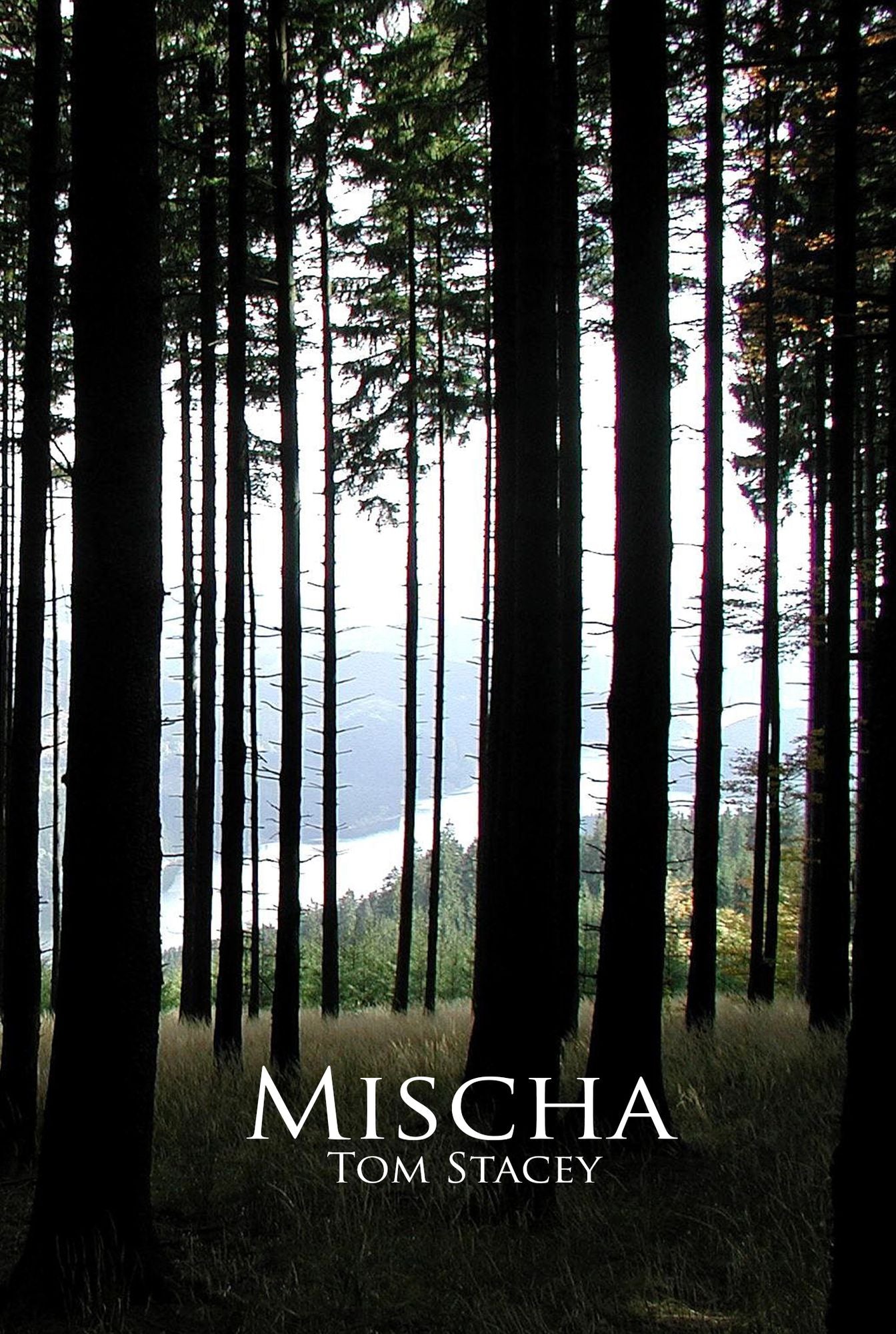 Mischa