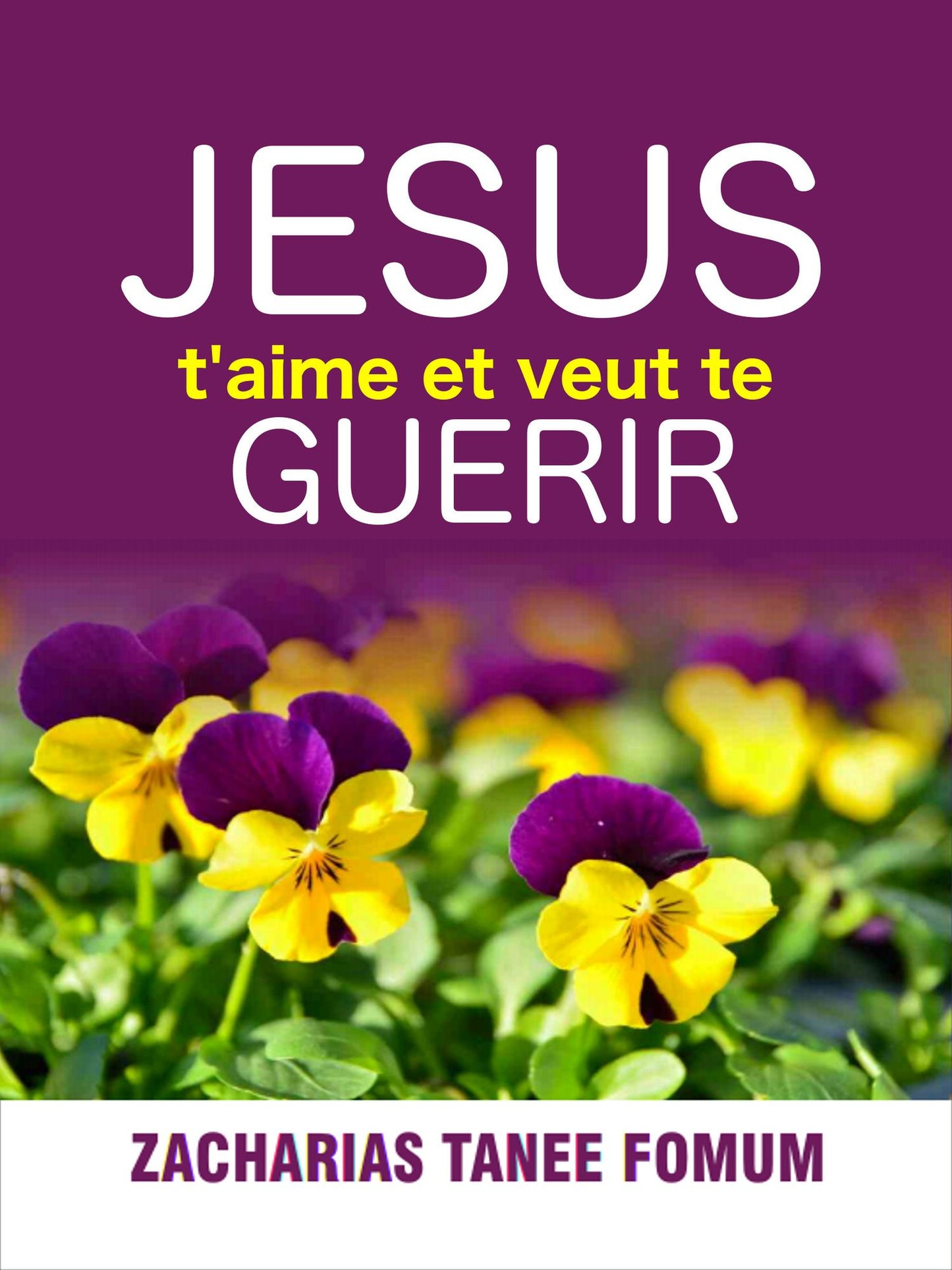 Jesus T'aime Et Veut Te Guerir