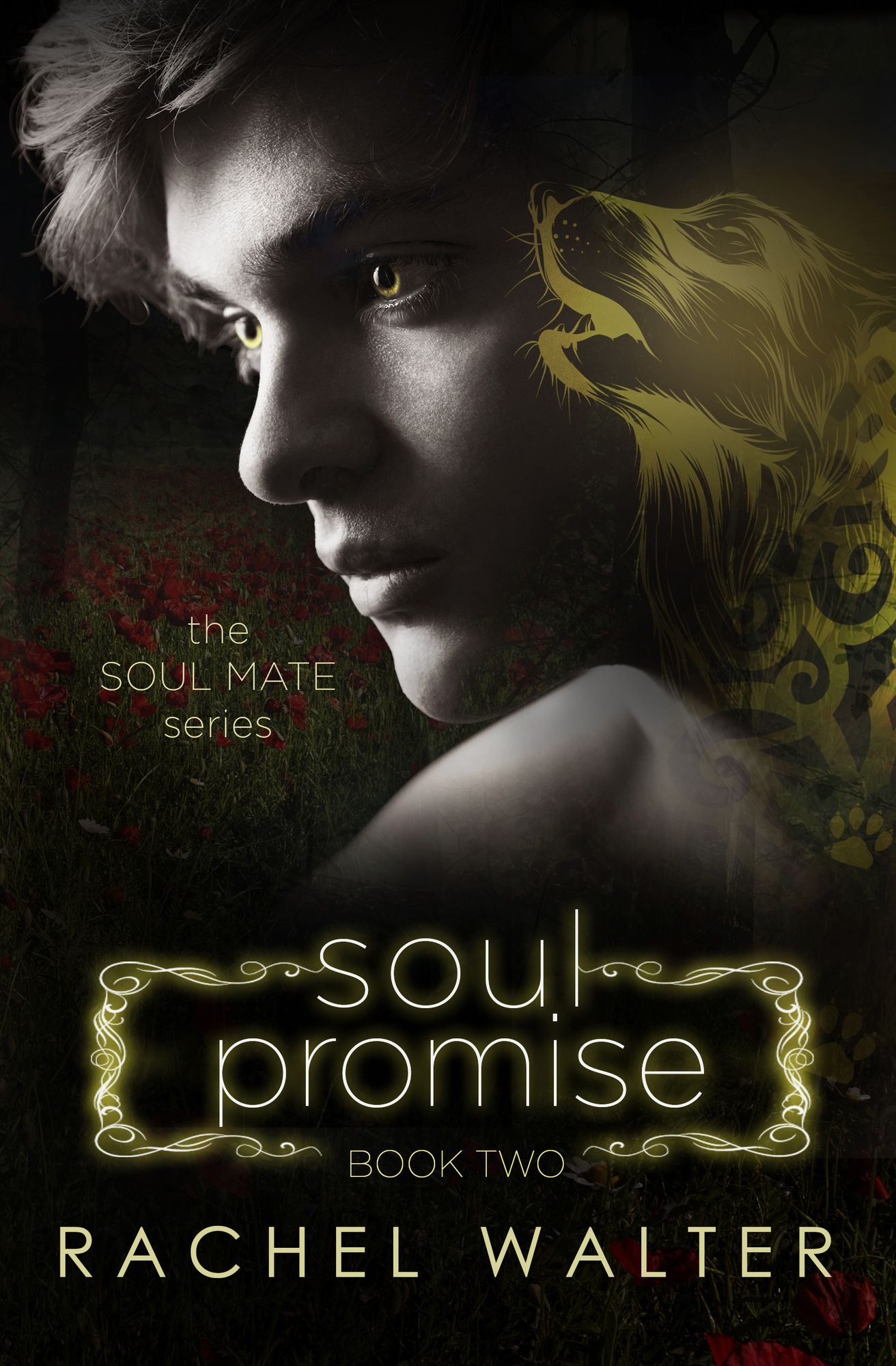 Soul Promise