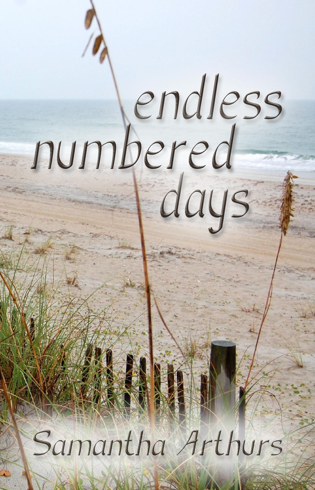 Endless Numbered Days