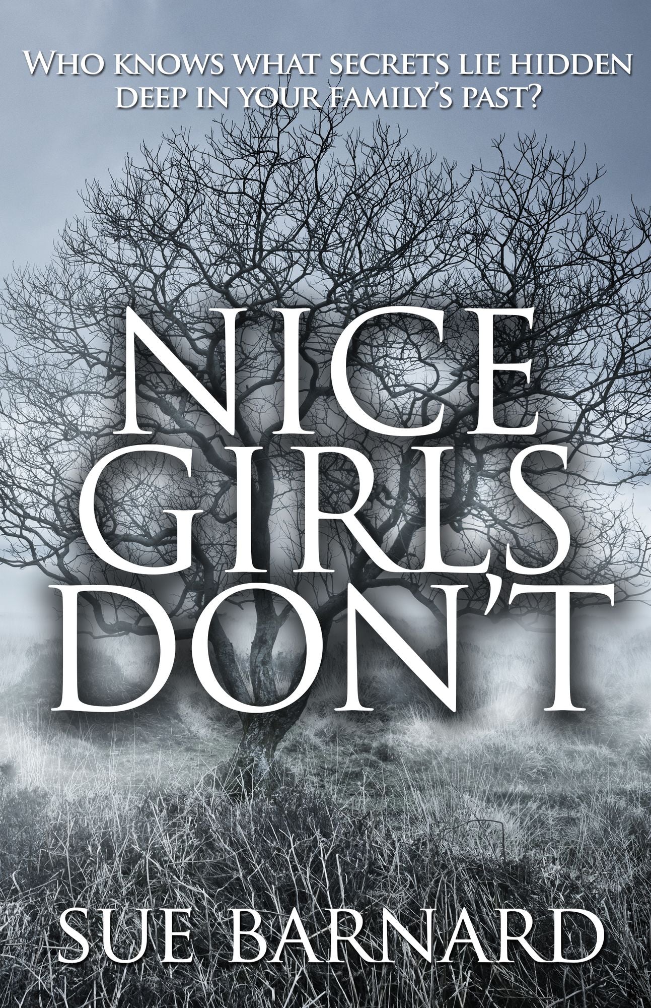 Nice Girls Don't