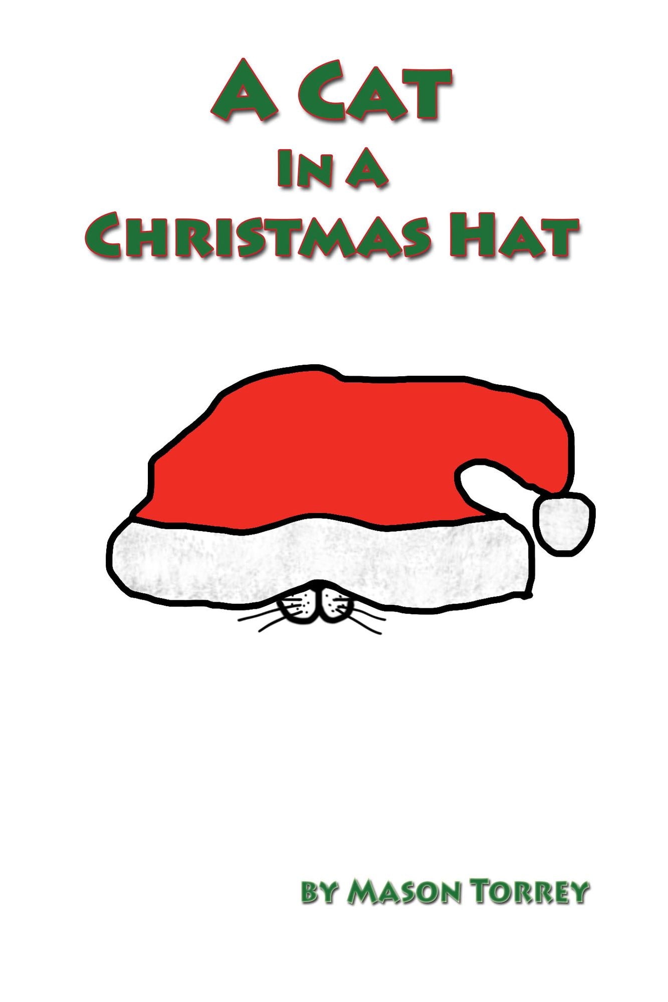 A Cat in a Christmas Hat