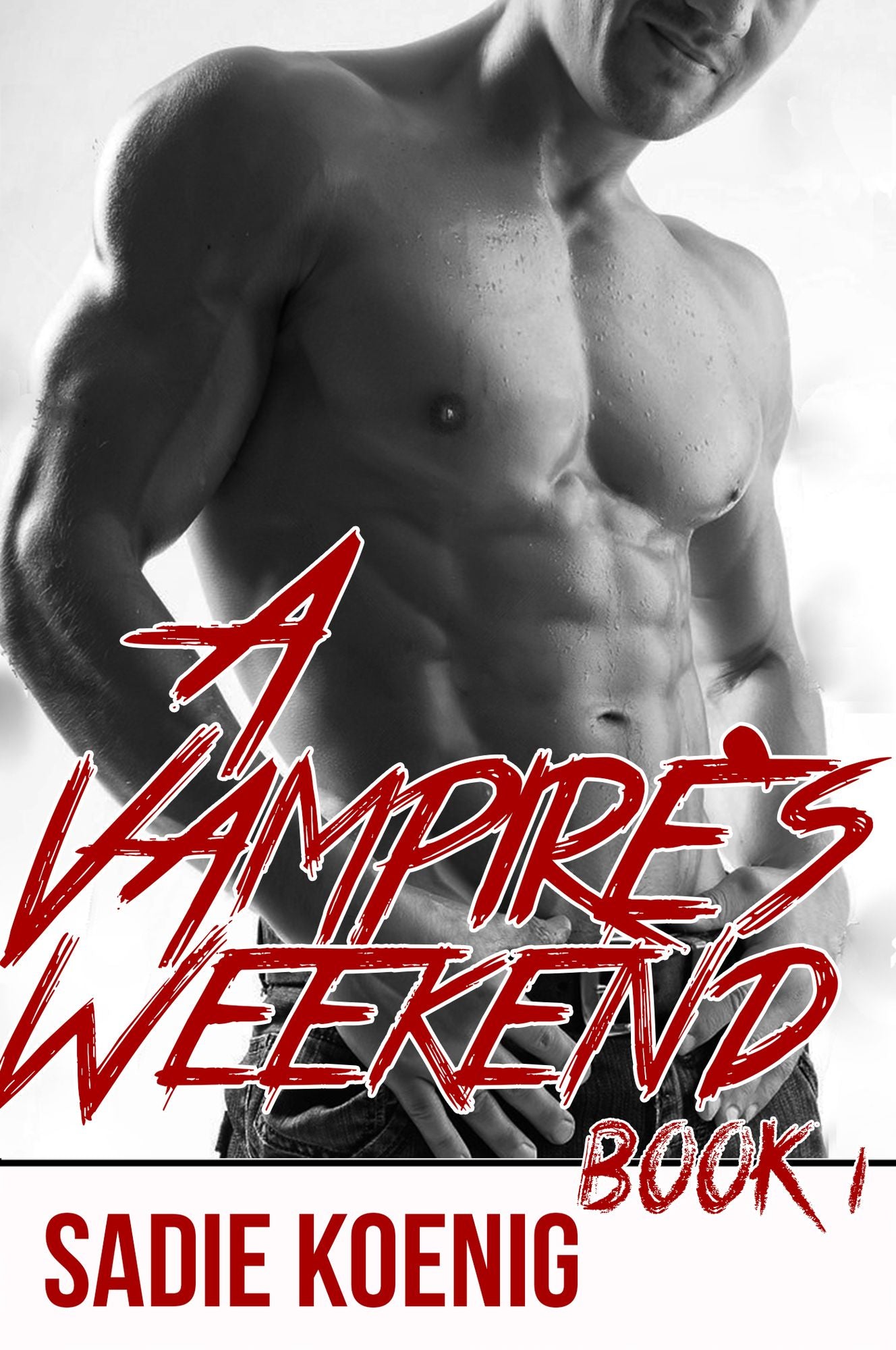A Vampire's Weekend Book #1 (Vampire Erotic Romance)