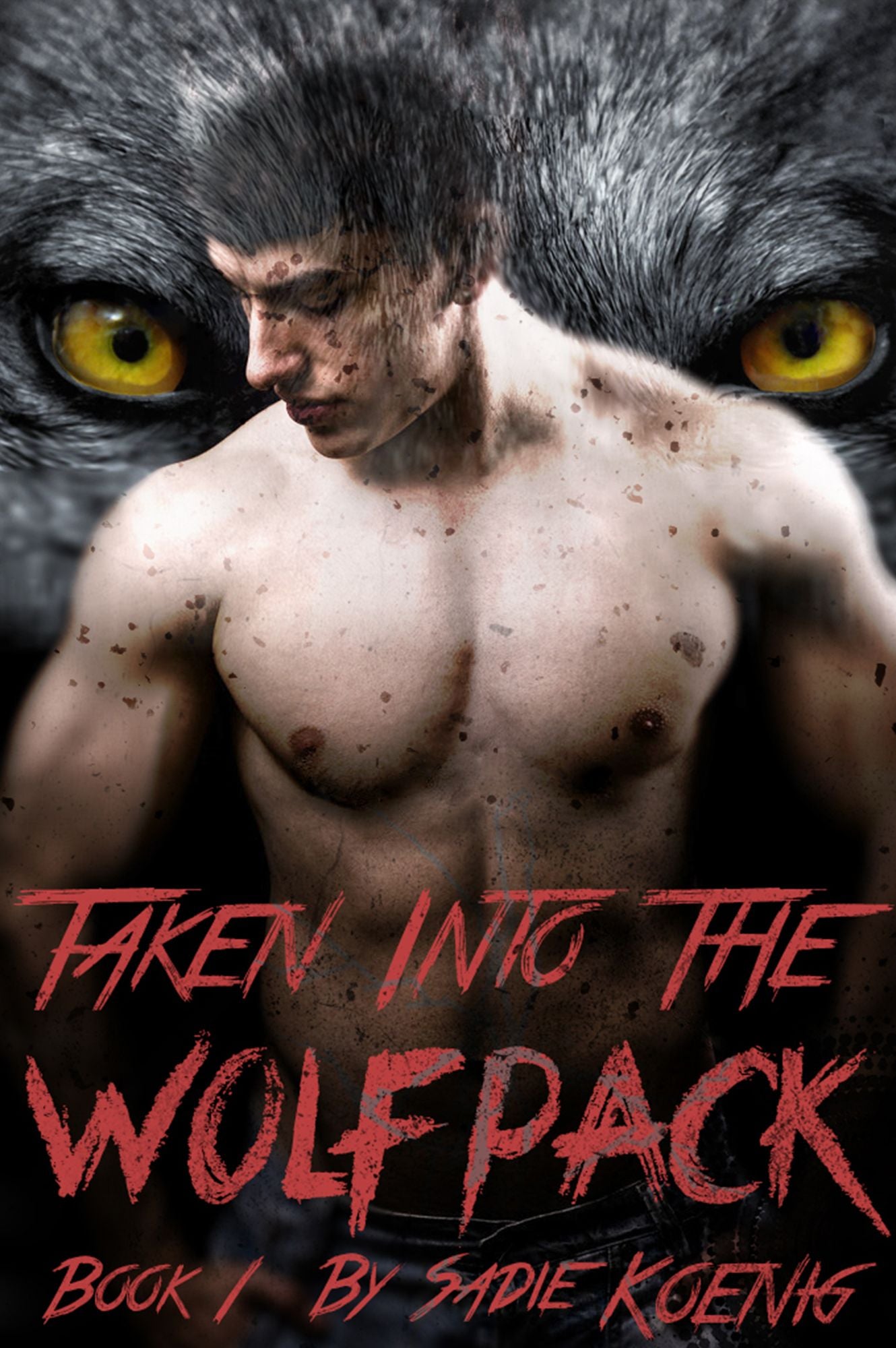 Taken Into The Wolfpack Book #1 (Werewolf Erotic Romance)