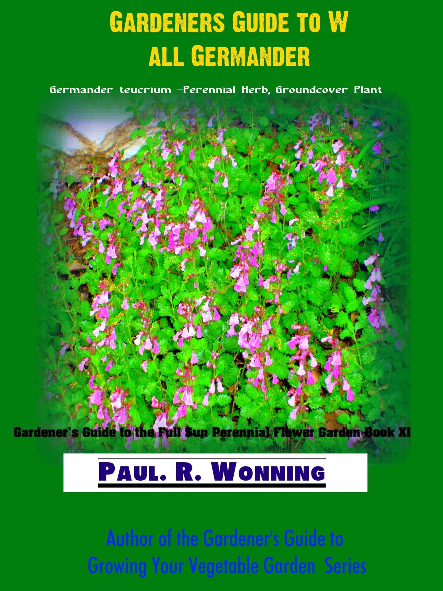 Gardener's Guide to Wall Germander