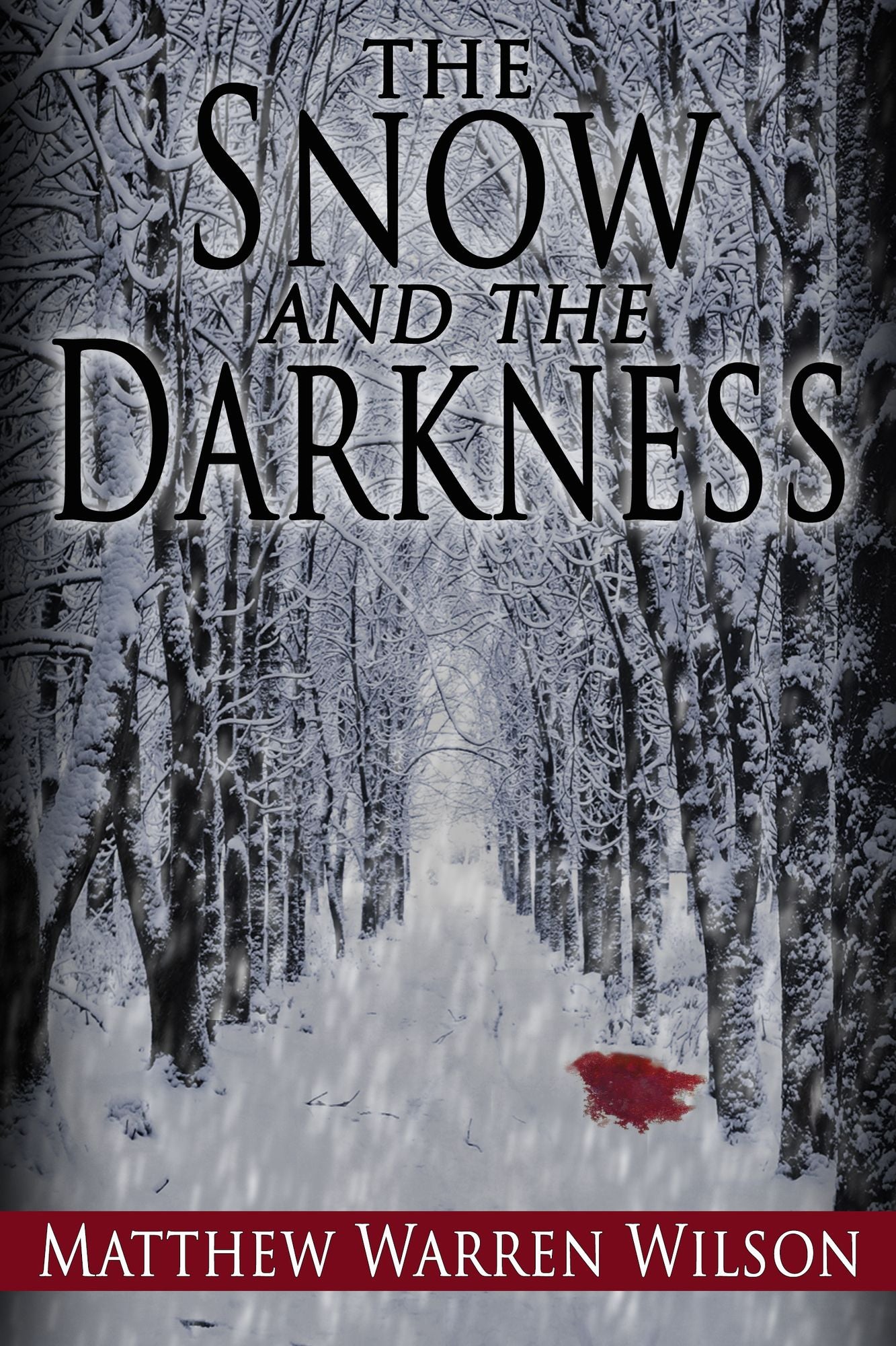 The Snow and The Darkness