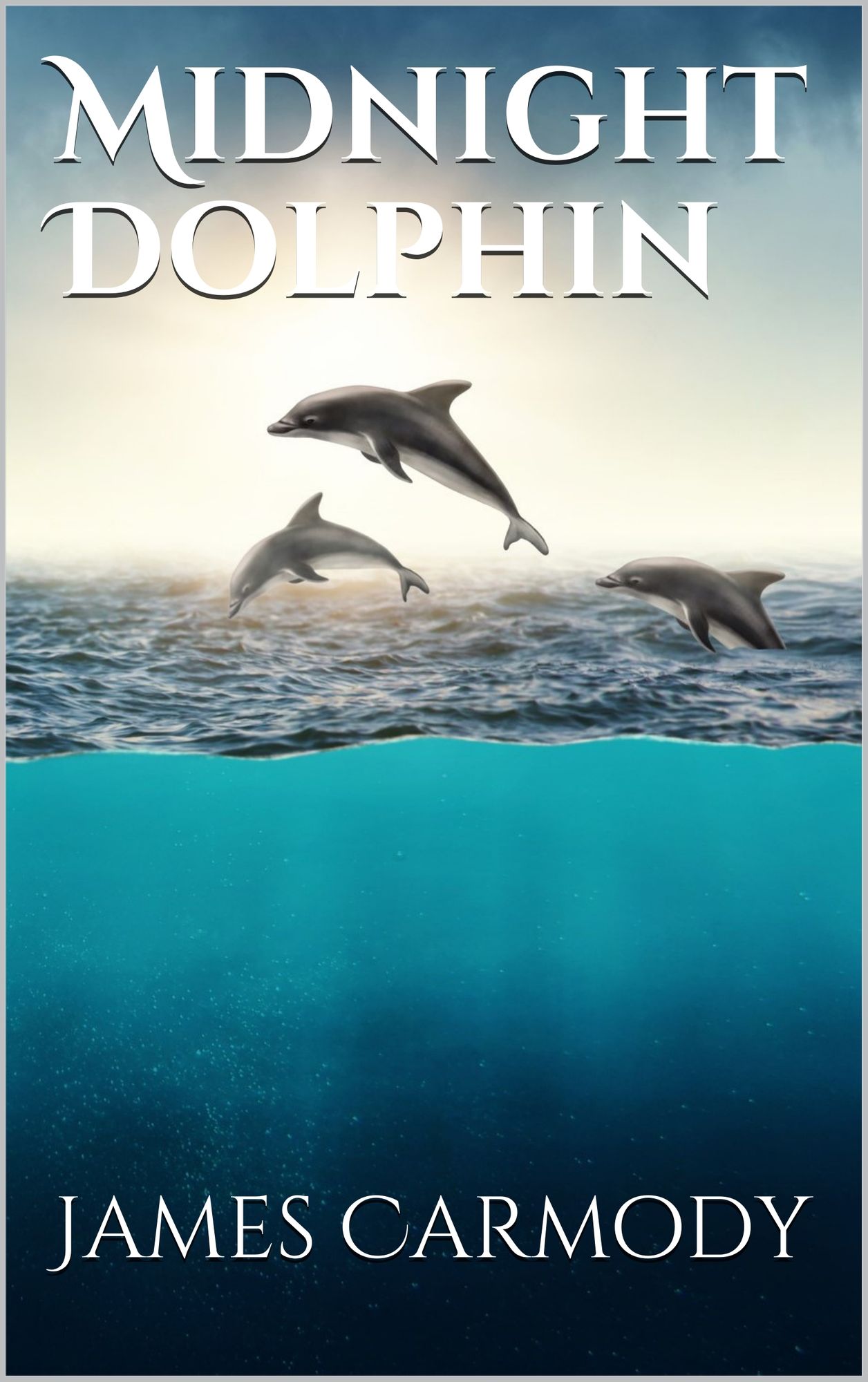 Midnight Dolphin