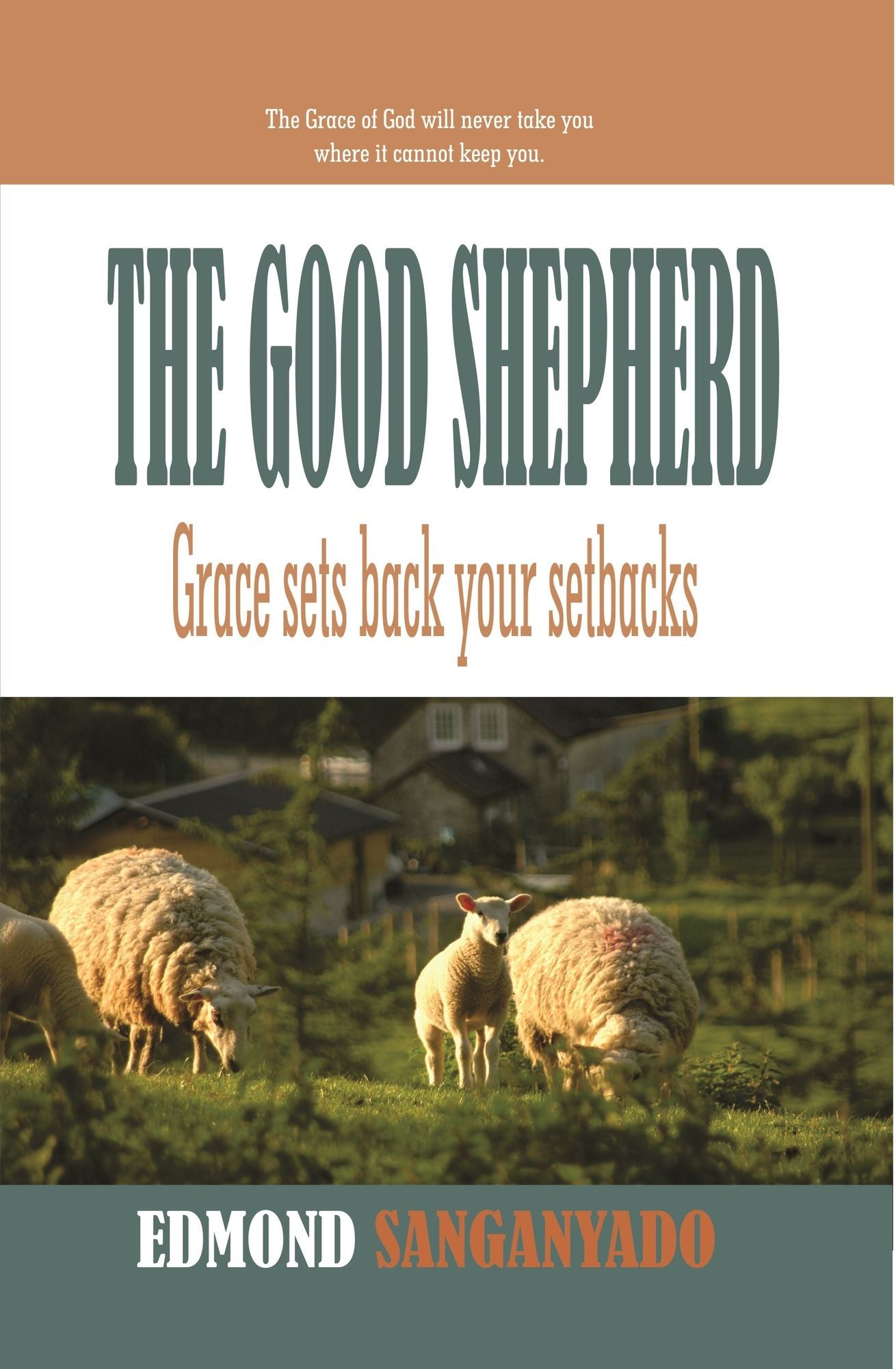The Good Shepherd: Grace sets back your setbacks