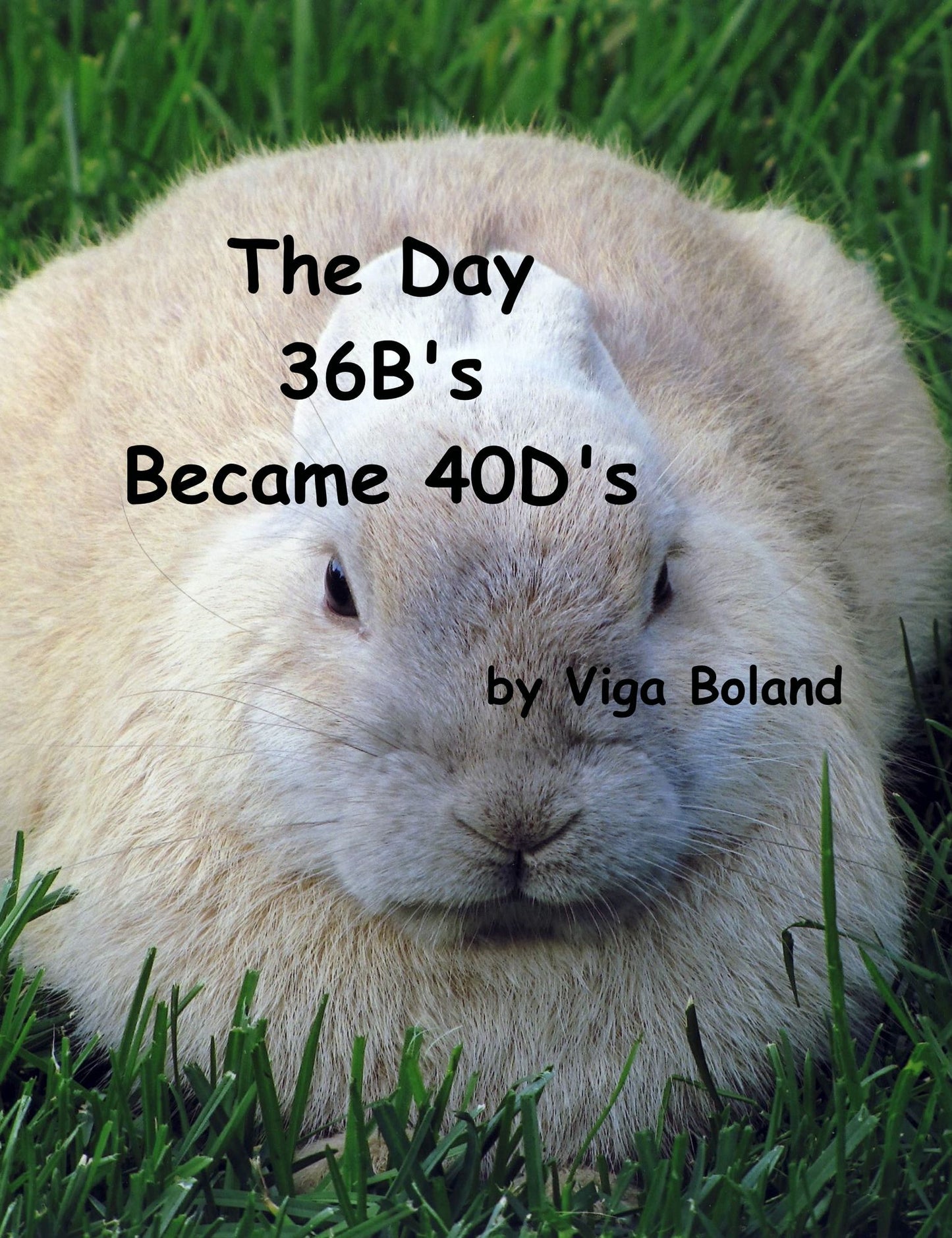 The Day 36B's Became 40D's
