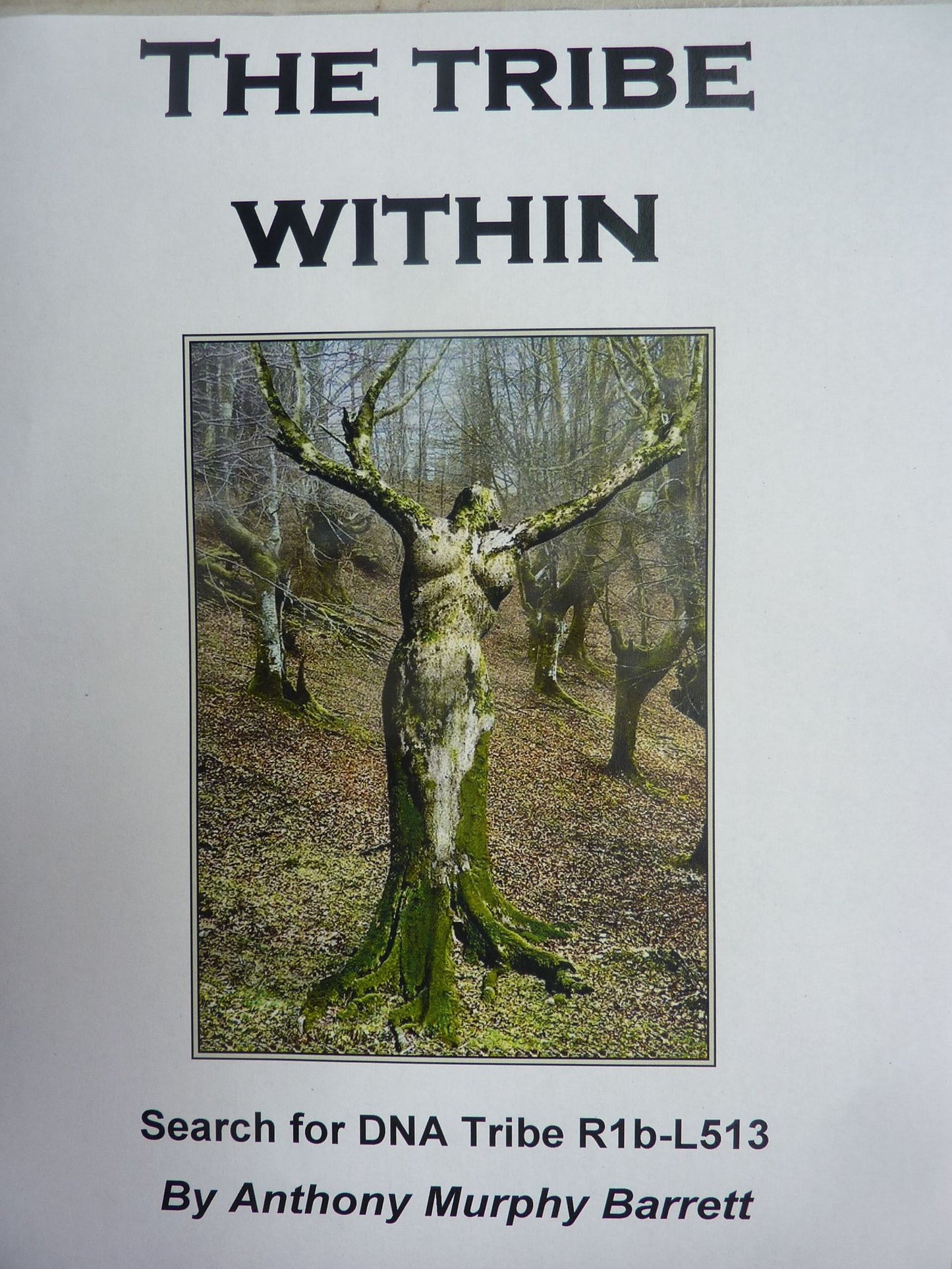 The Tribe Within