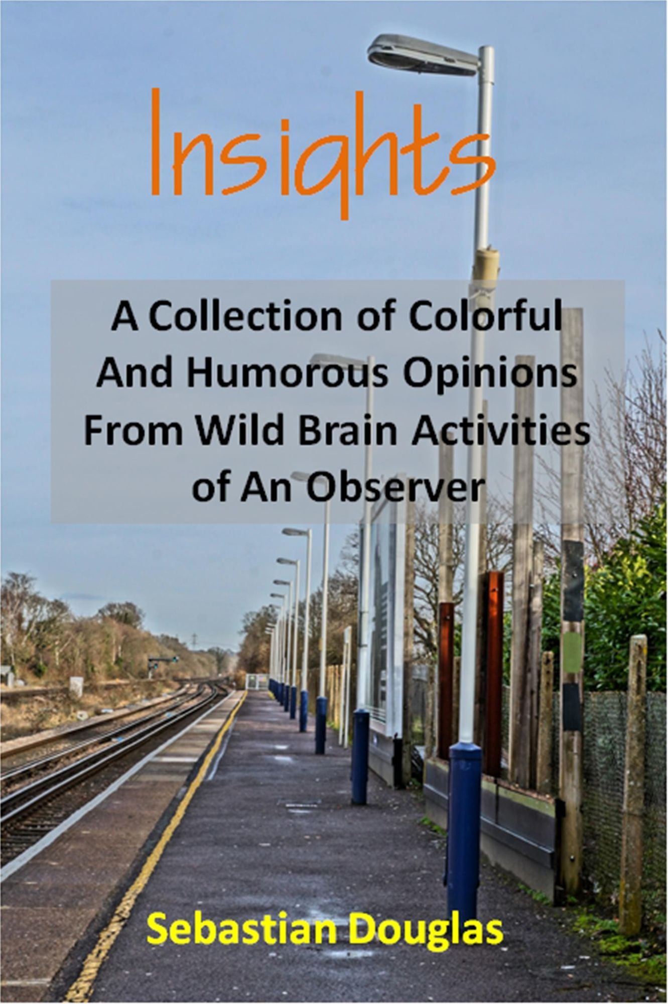 Insights: A Collection of Colorful and Humorous Opinions From Wild Brain Activities of An Observer