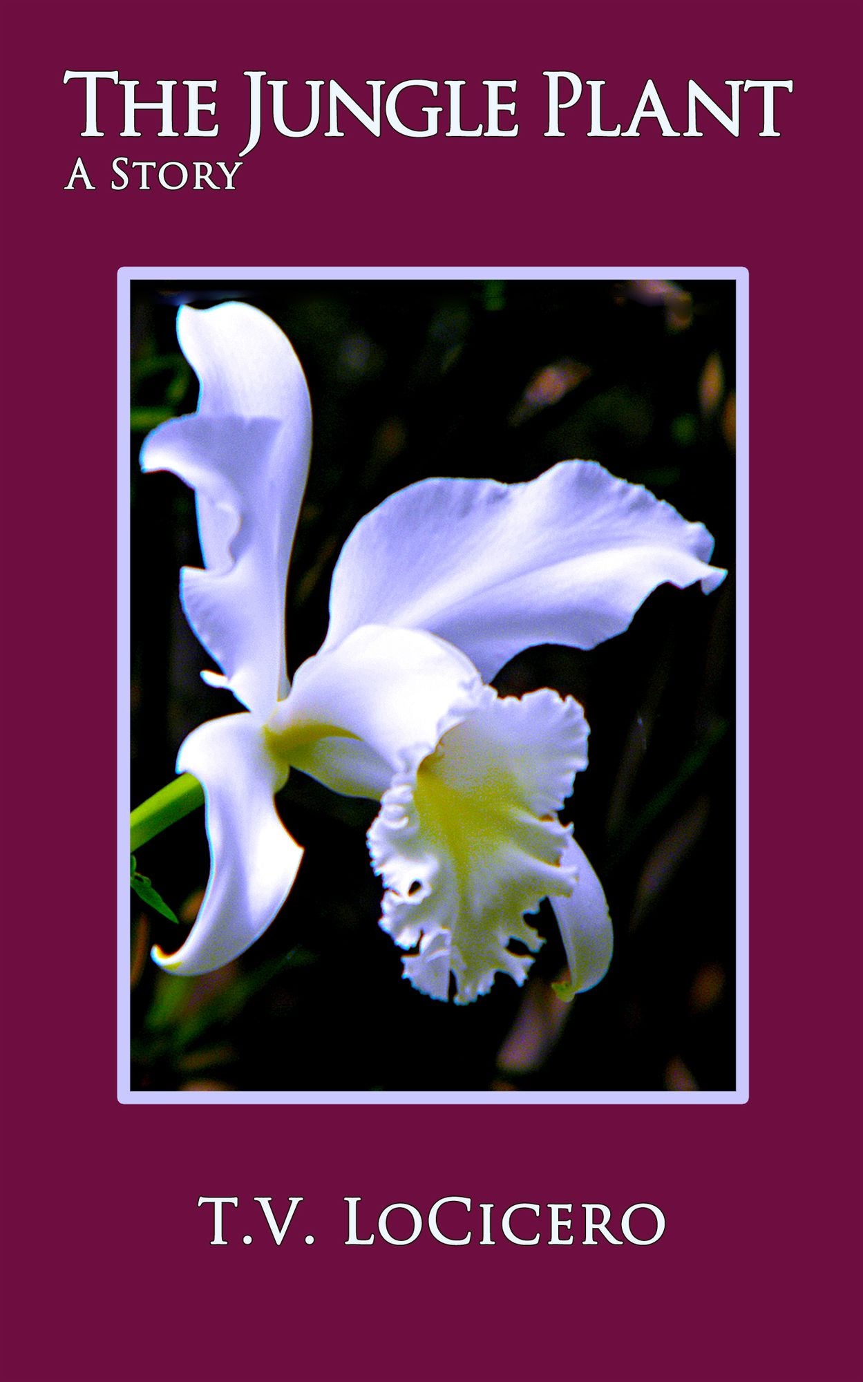 The Jungle Plant