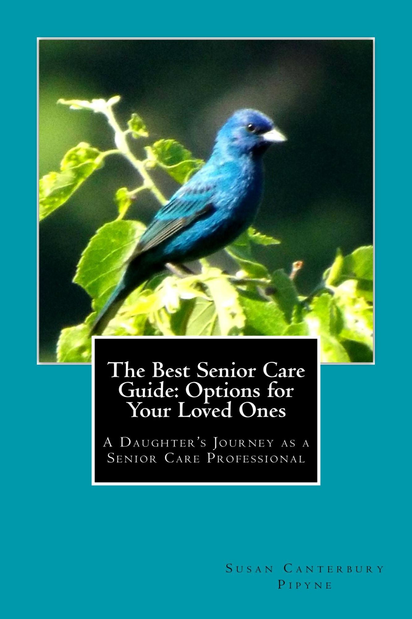 The Best Senior Care Guide: Options for Your Loved Ones