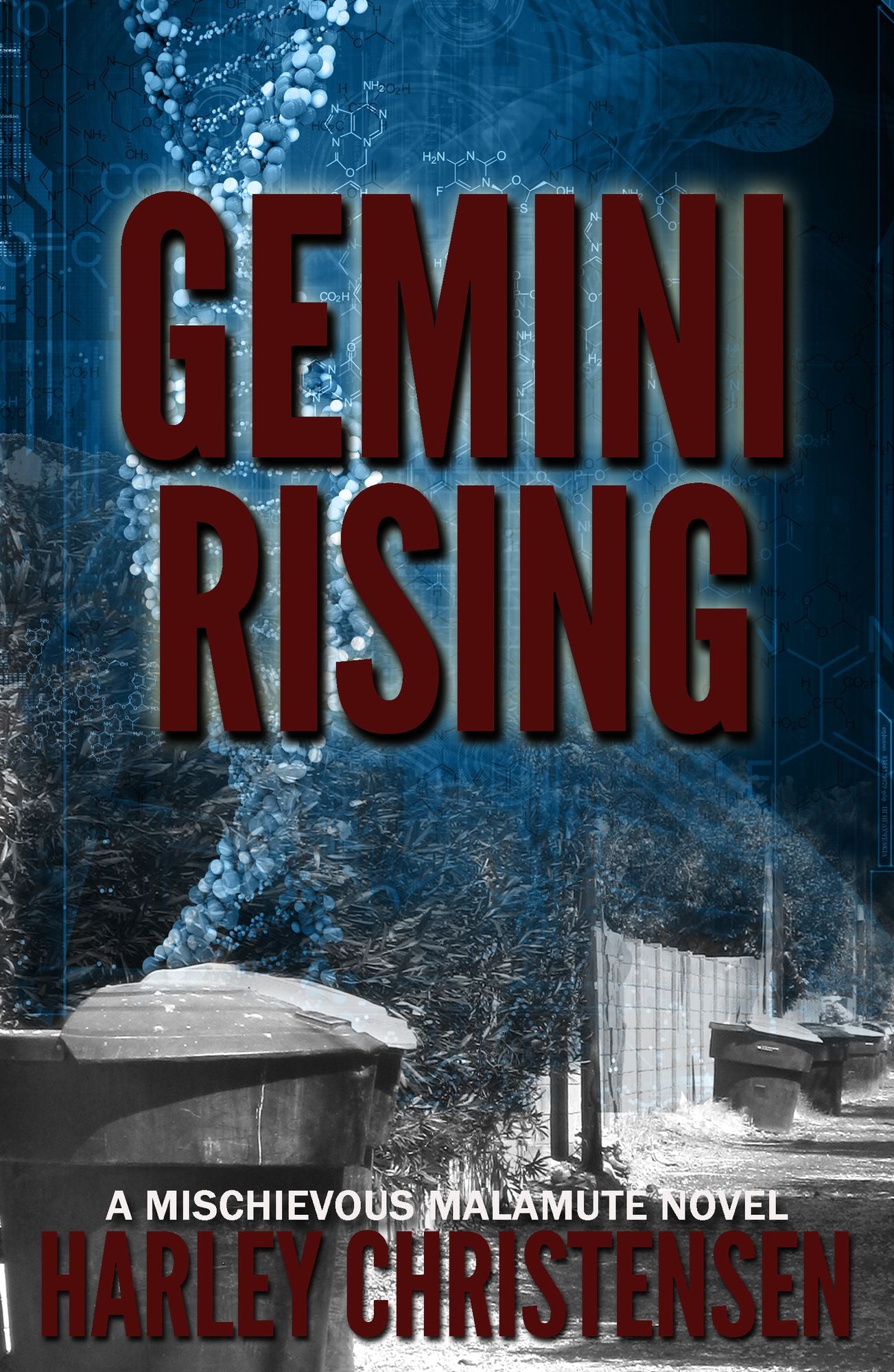 Gemini Rising (Mischievous Malamute Mystery Series, Book 1)