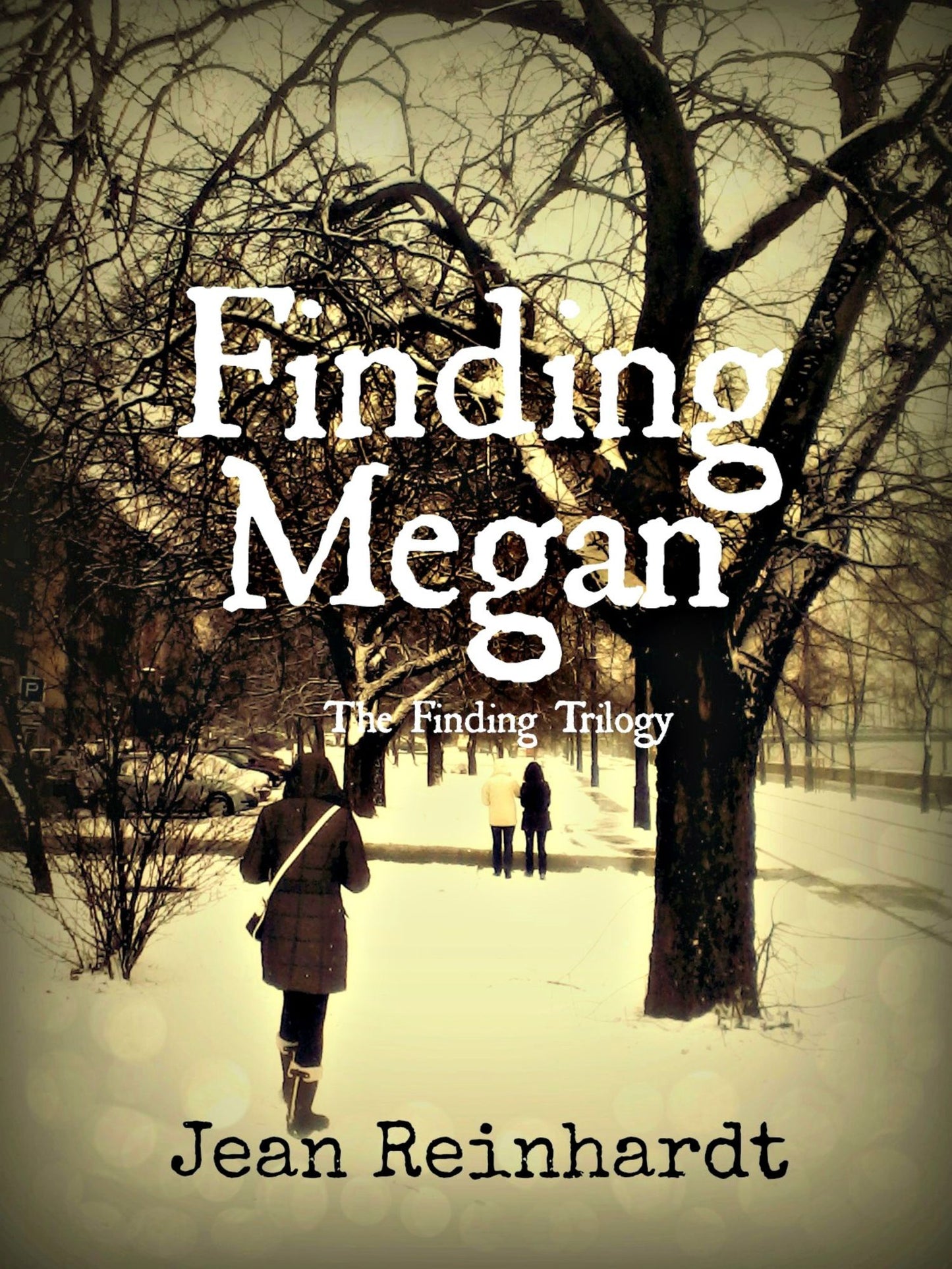 Finding Megan (Book two of The Finding Trilogy)