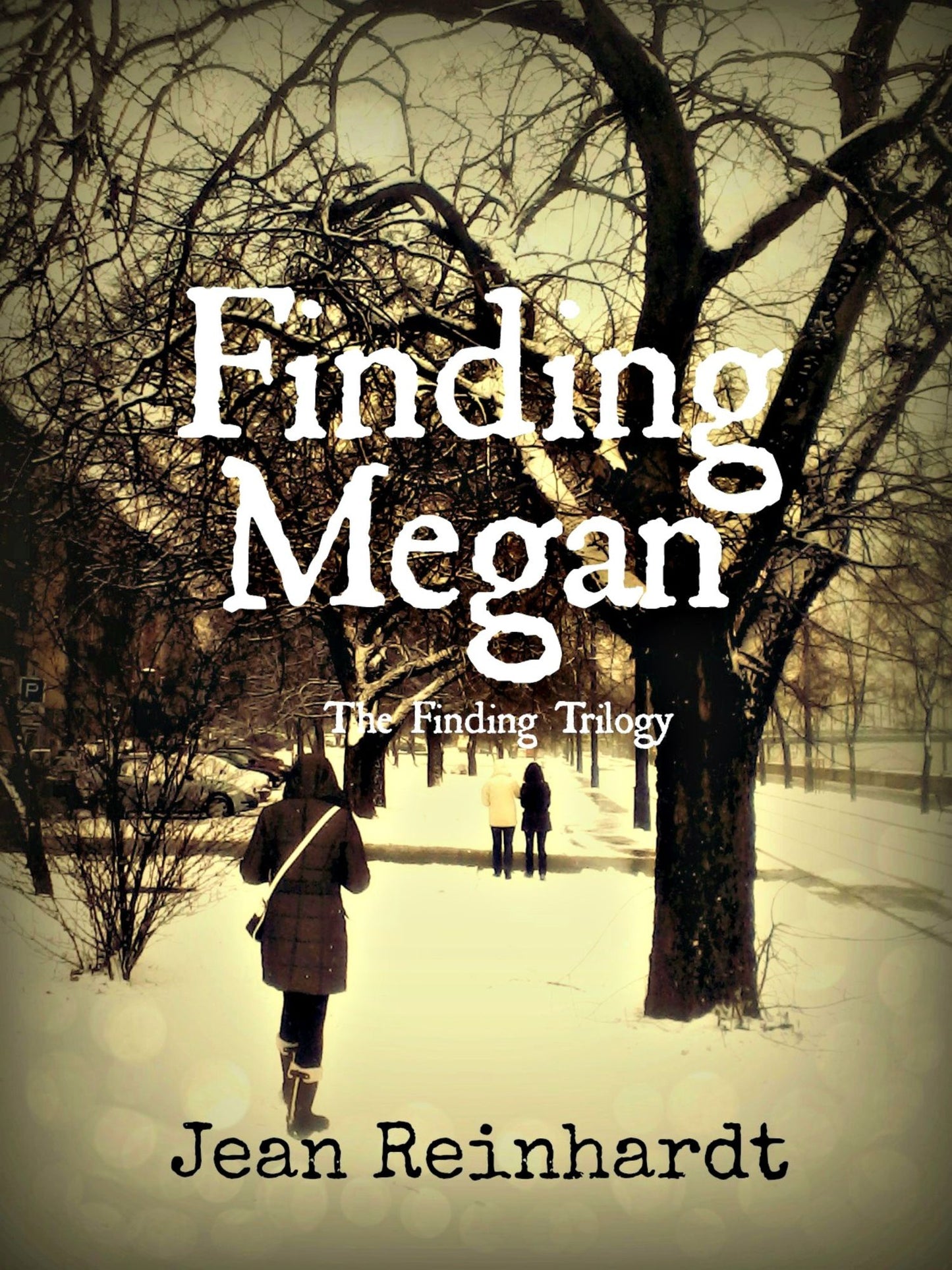 Finding Megan (Book two of The Finding Trilogy)
