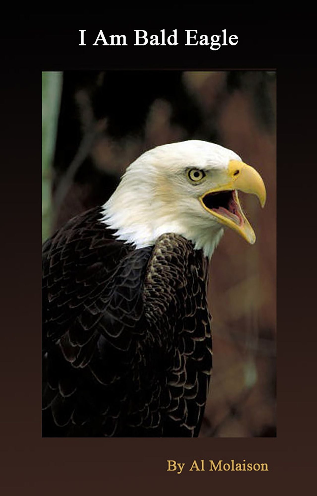 I Am Bald Eagle