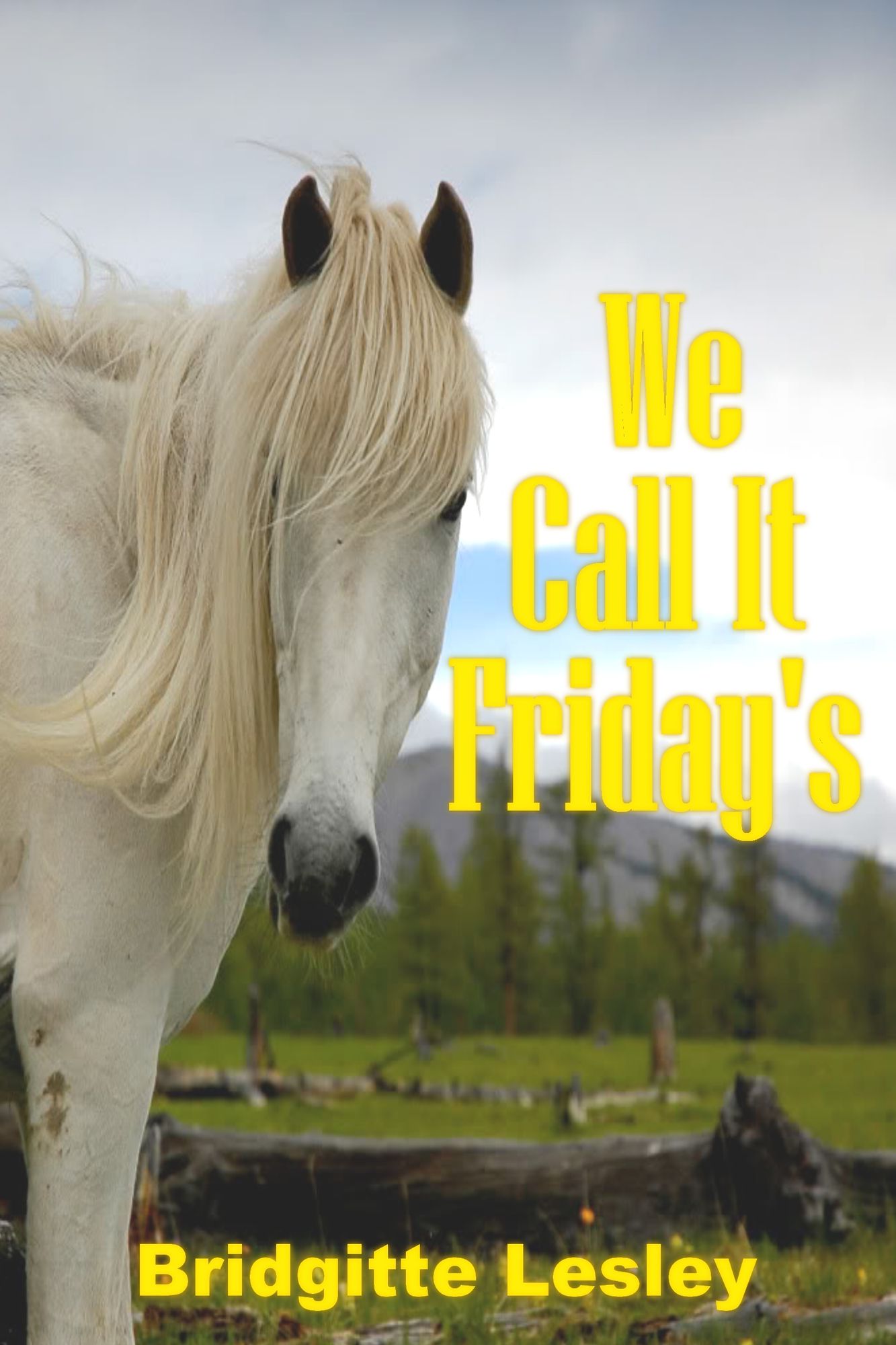 We Call It Friday's