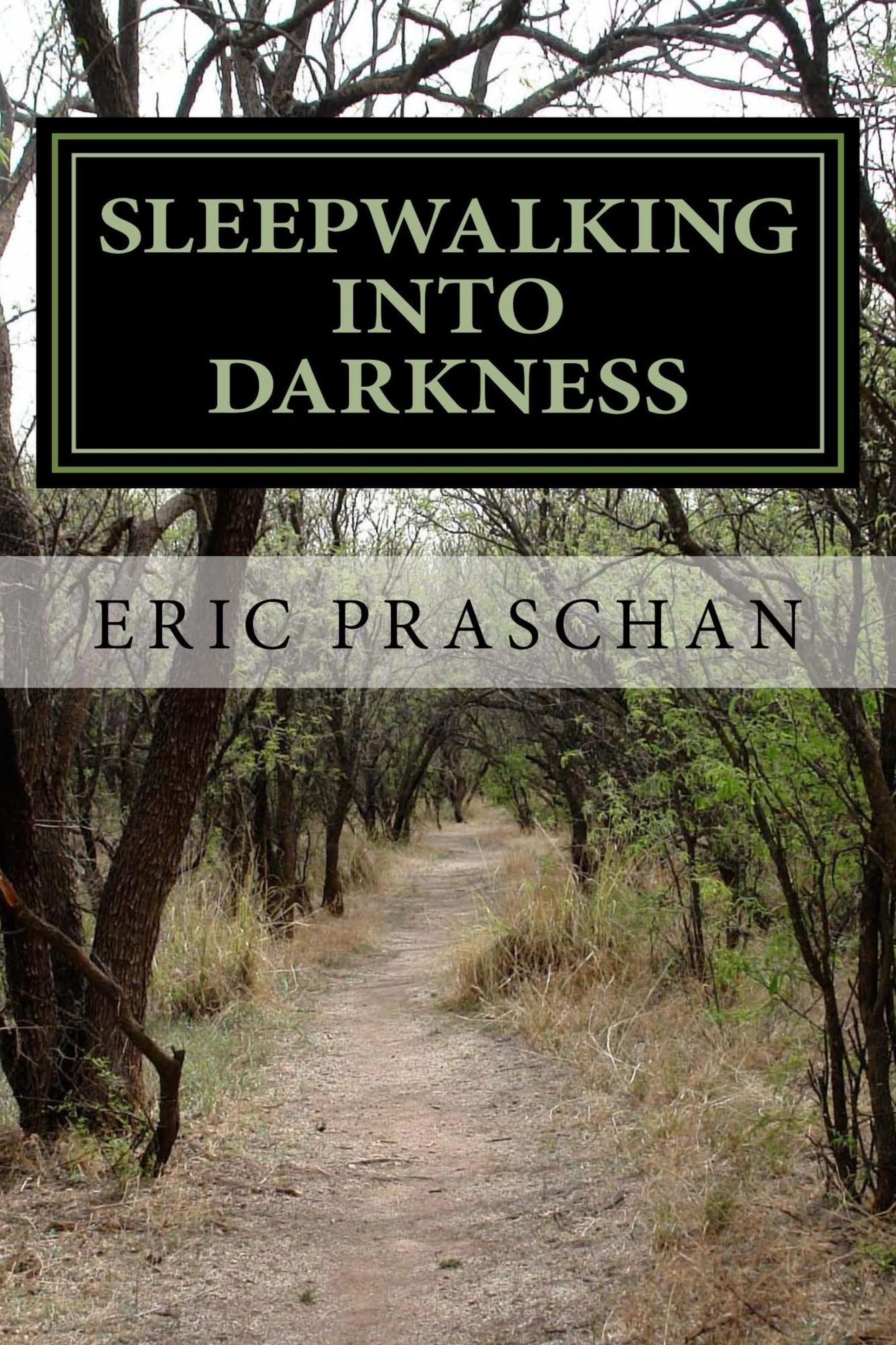 Sleepwalking into Darkness (The James Women Trilogy Book 2)