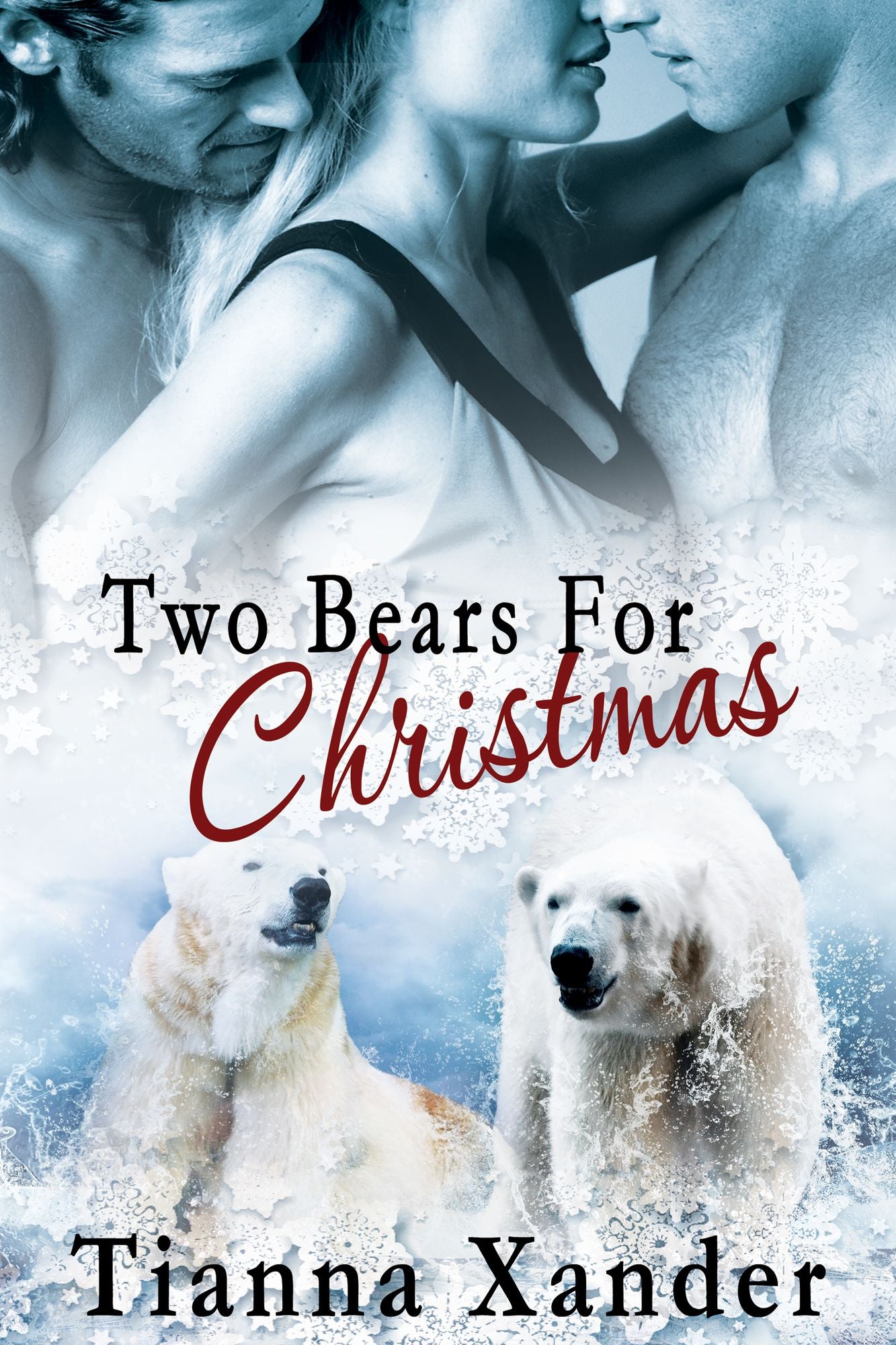 Two Bears for Christmas