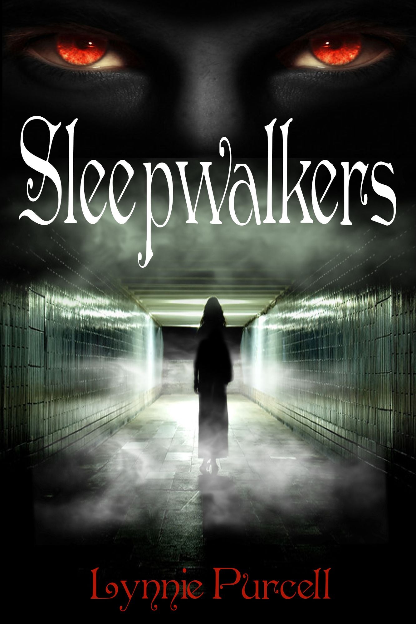 Sleepwalkers (Book 3: The Dreamer Chronicles)
