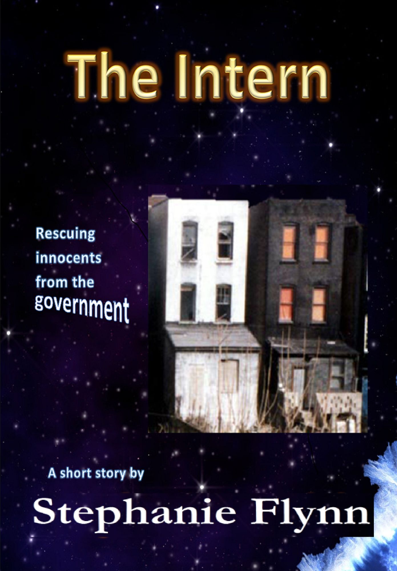 The Intern