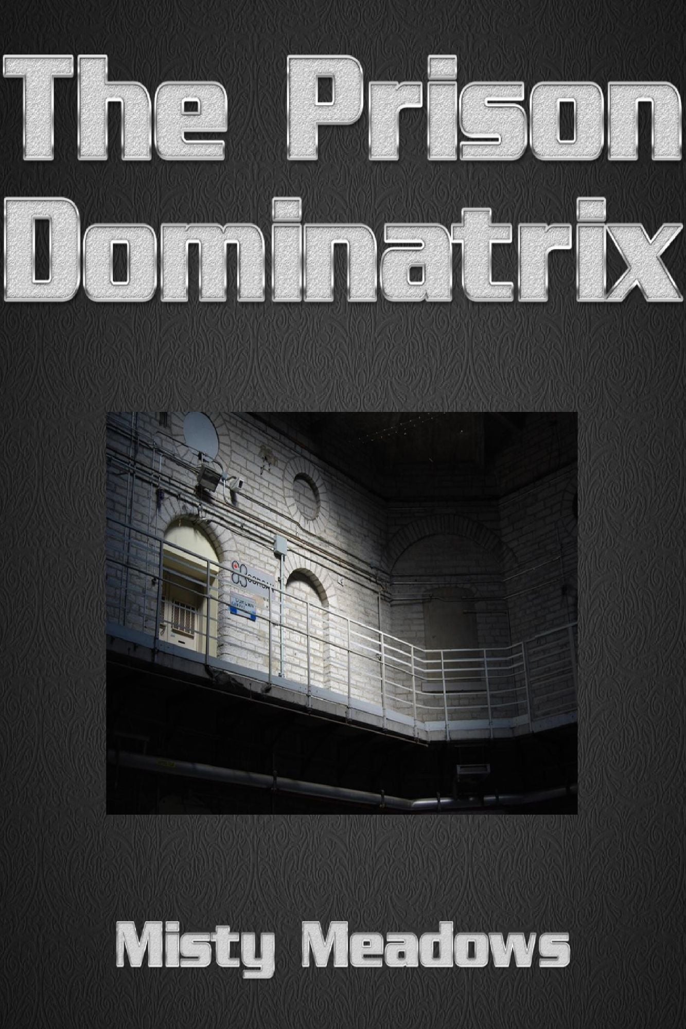 The Prison Dominatrix (Femdom)