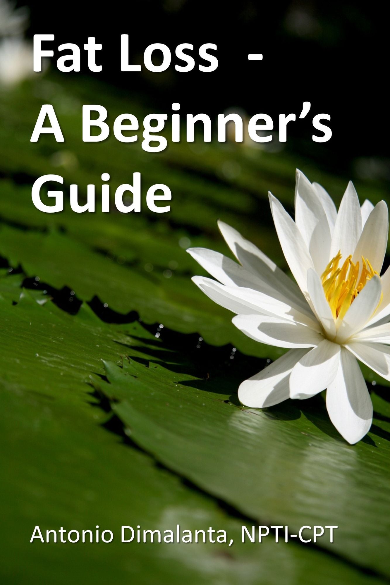 Fat Loss: A Beginner's Guide