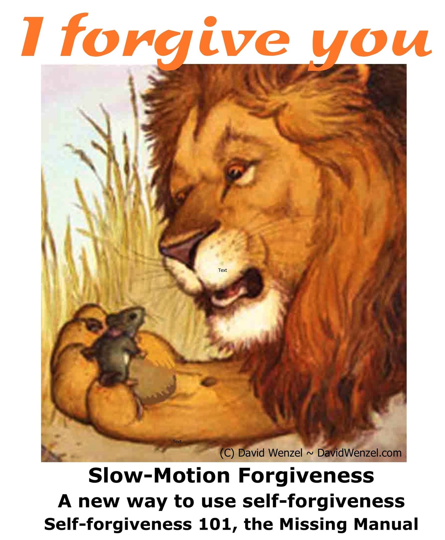 Forgive from Your Soul Slow-Motion Self-Forgiveness(SM), the Missing Manual Forgiveness 101 How-to eBook