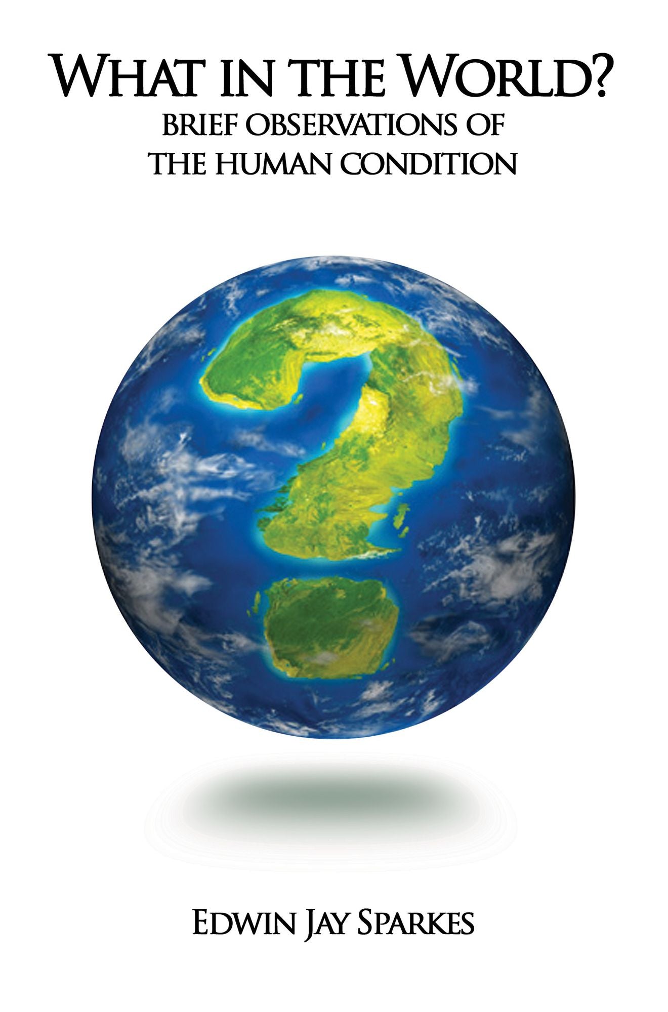 What in the World? Brief Observations of the Human Condition